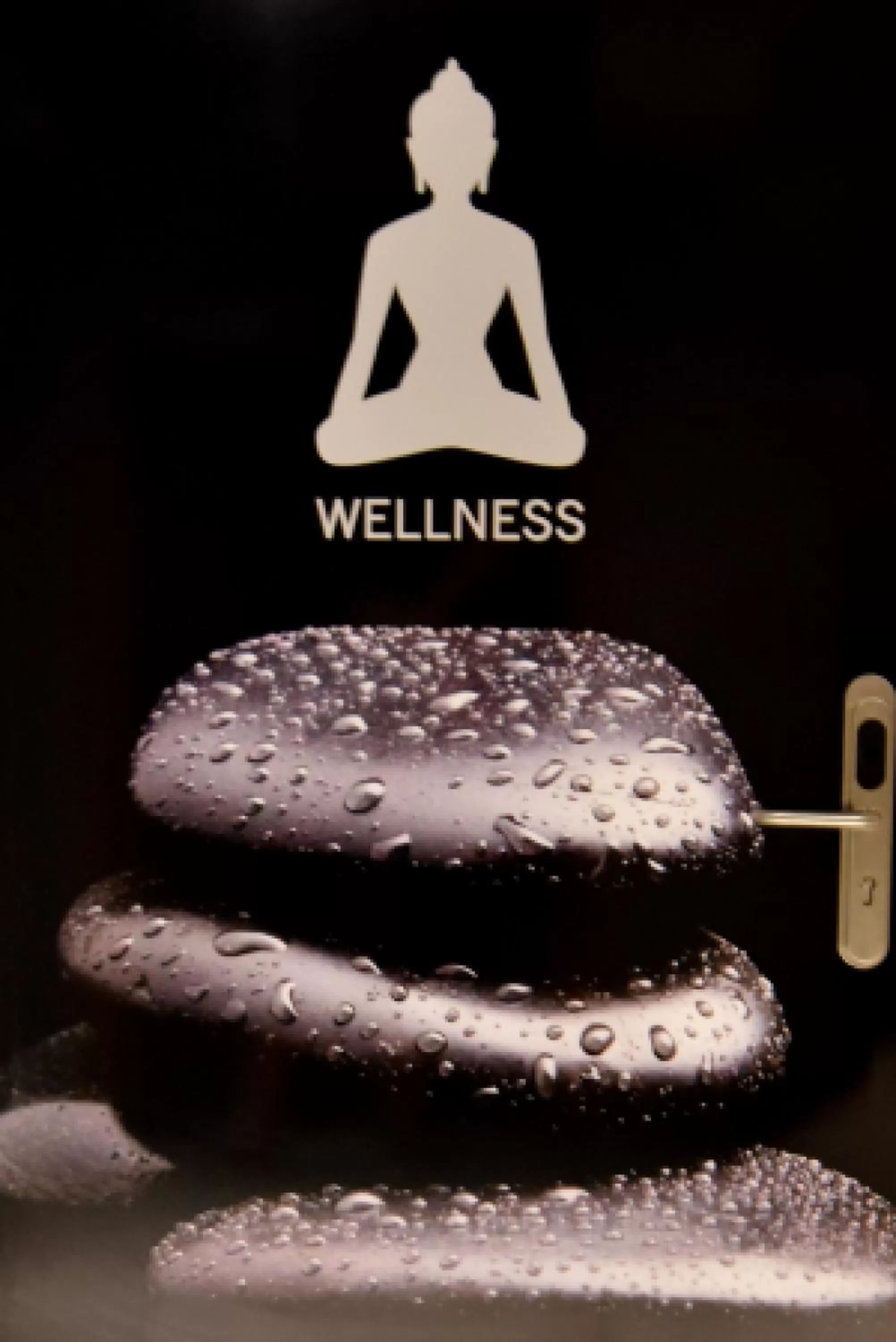 Spa and wellness centre/facilities in Hotel Saint Daniel