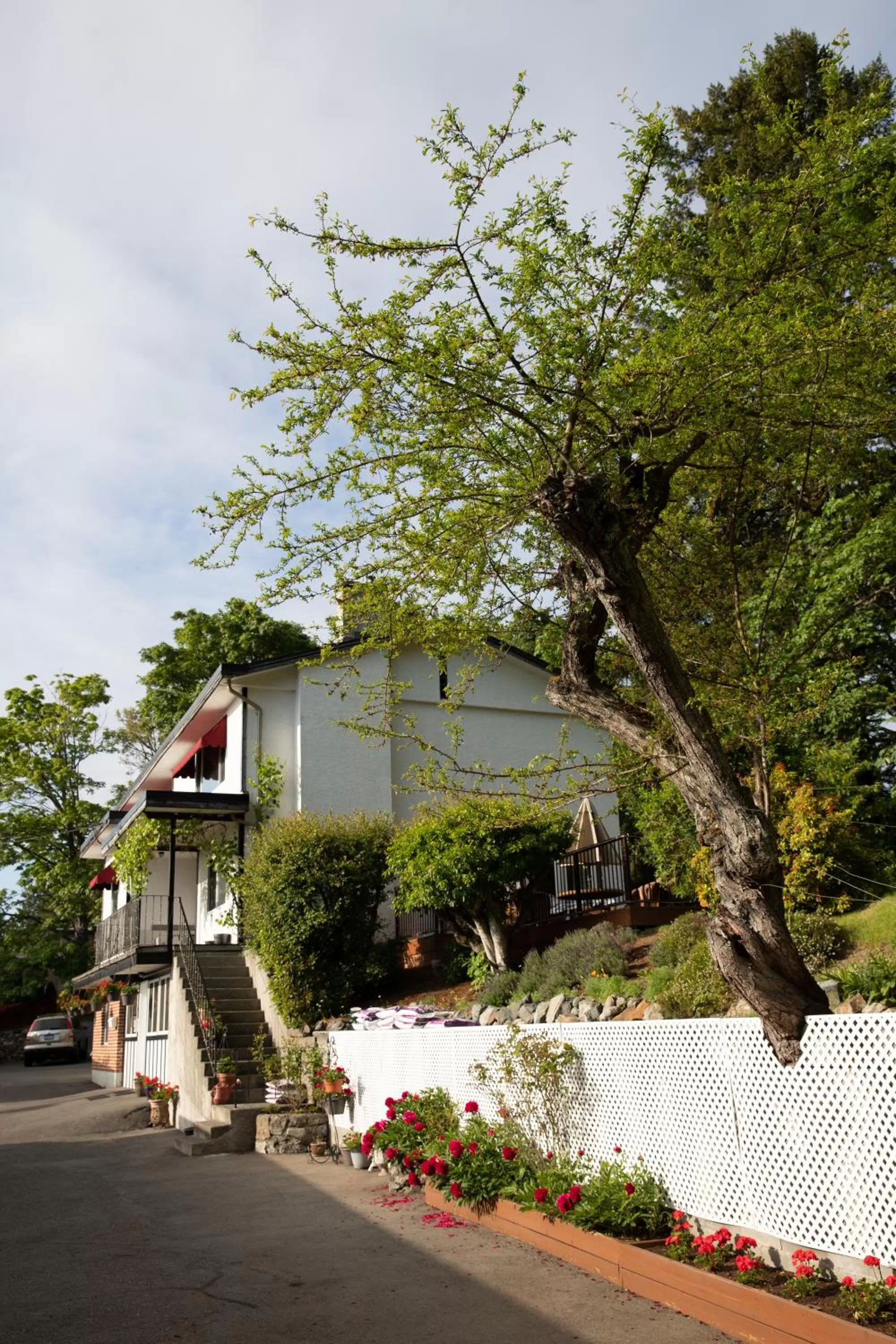 Property Building in Cherry Tree Inn