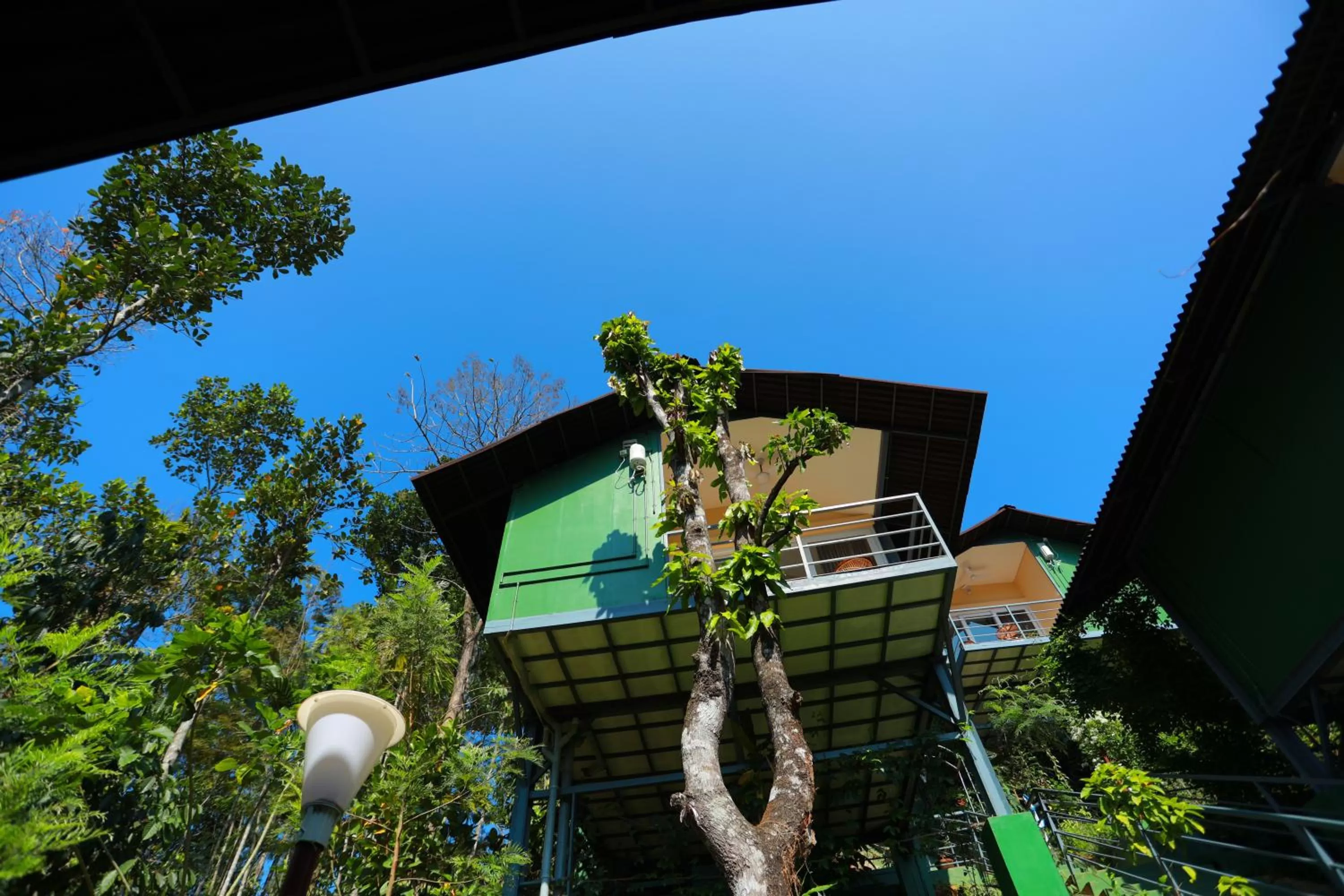 Property building in Edens Munnar