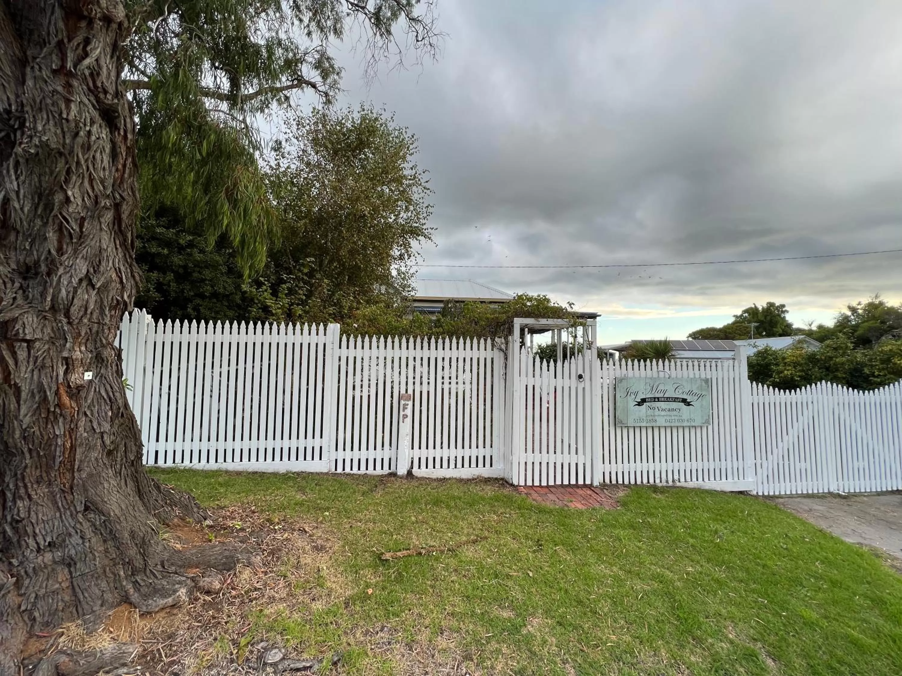 Garden in Ivy May Cottage