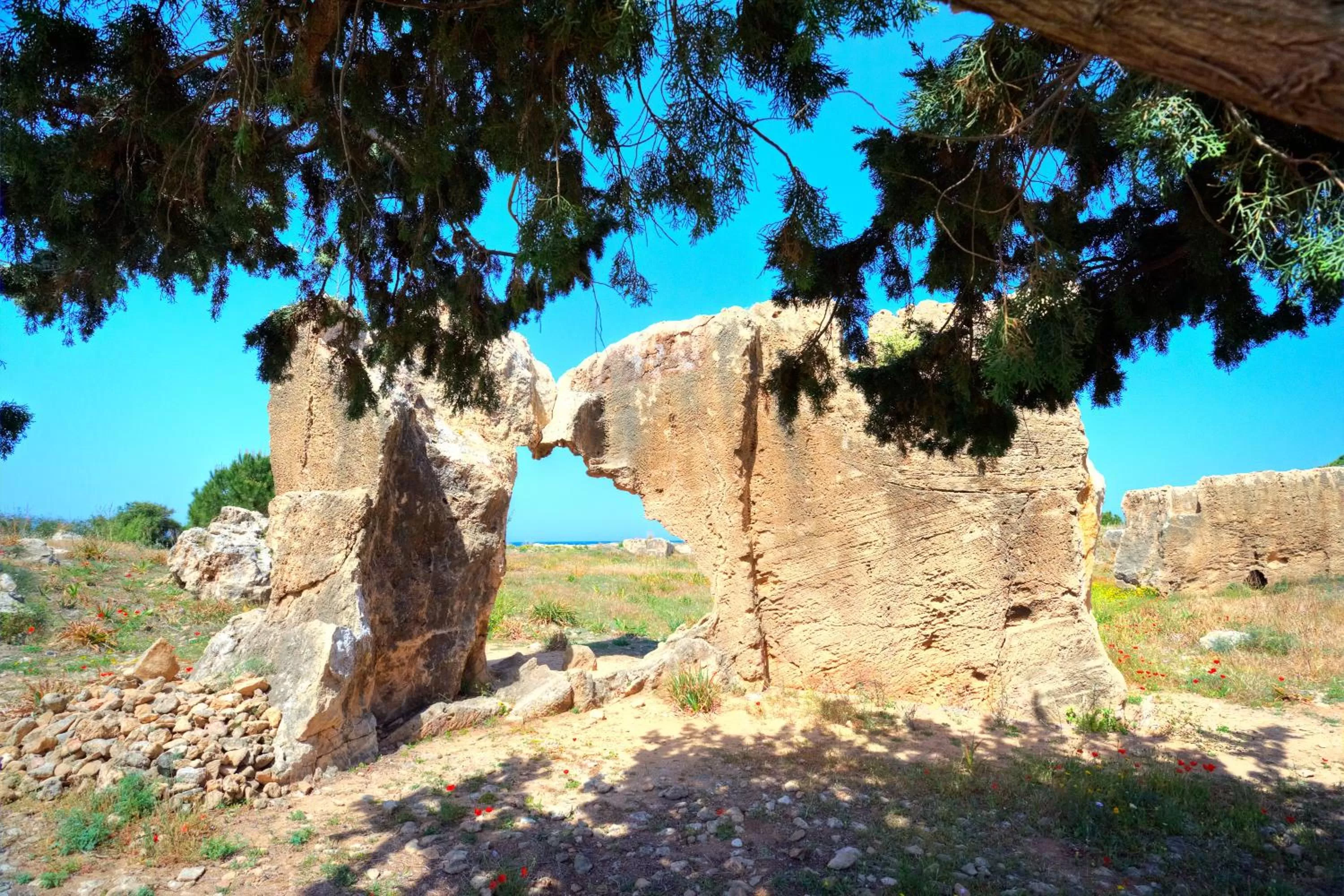 Area and facilities in Sunny Hill Hotel Apartments