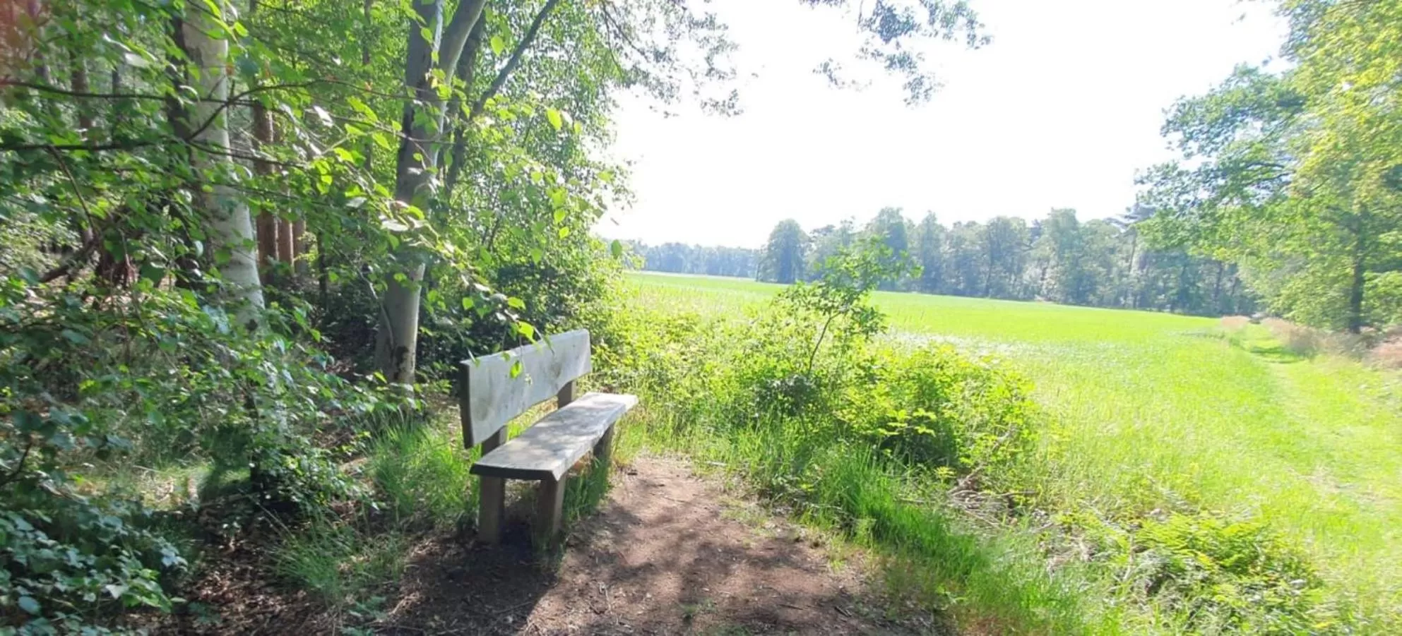Spring in Hotel Restaurant Roerdinkhof
