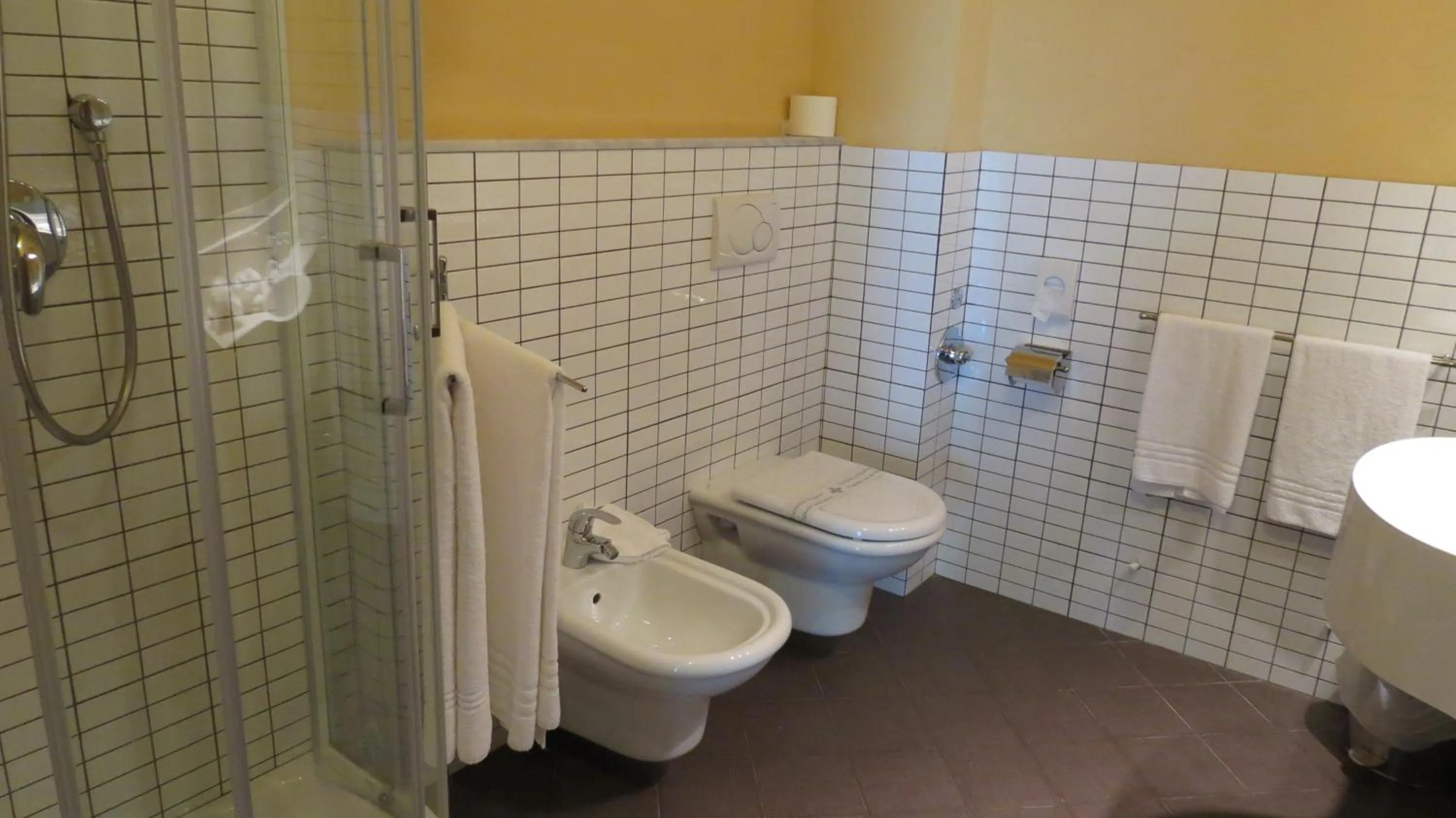 Single Room in La Quiete Park Hotel