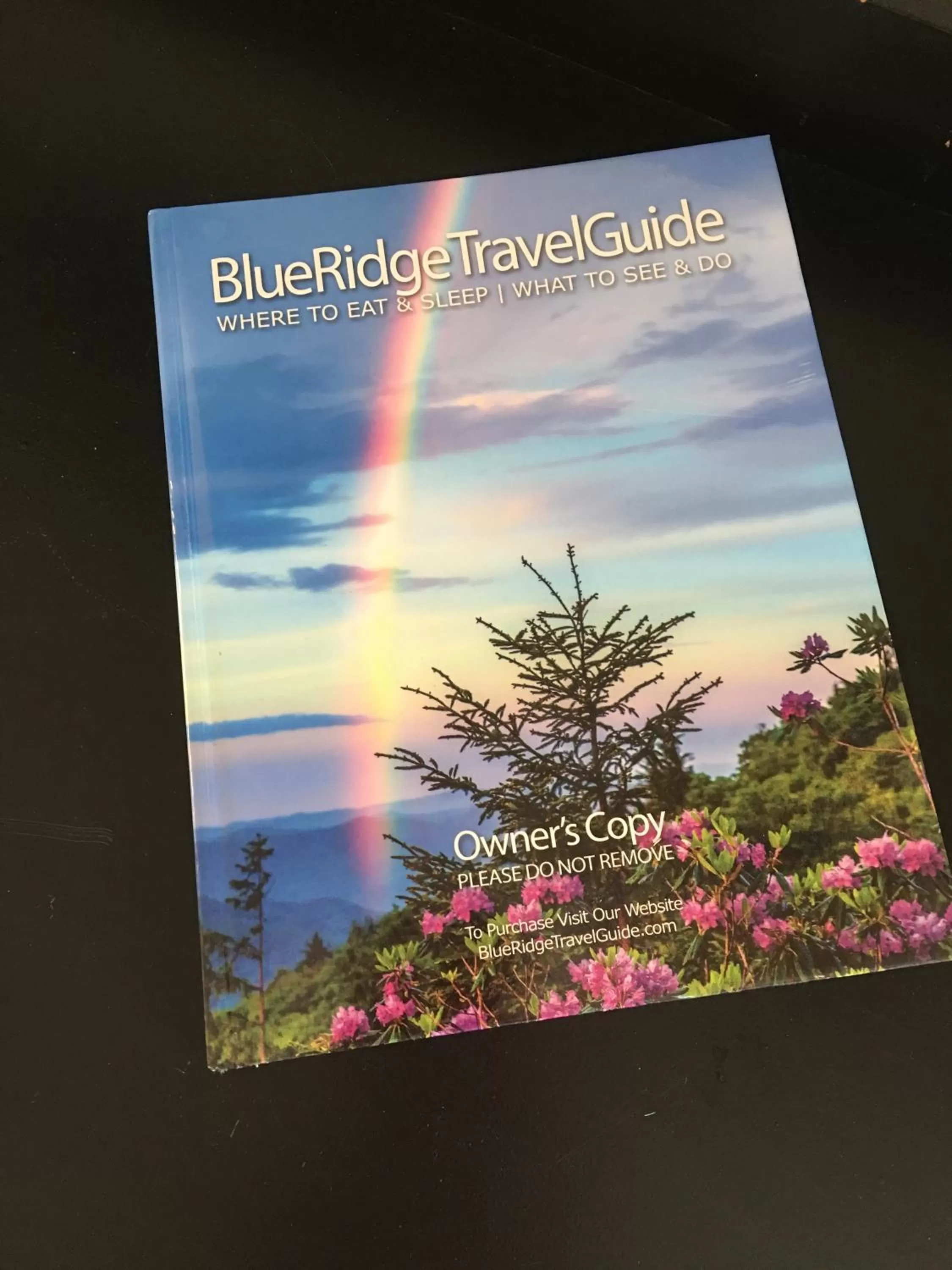 Decorative detail in Cardinal Inn