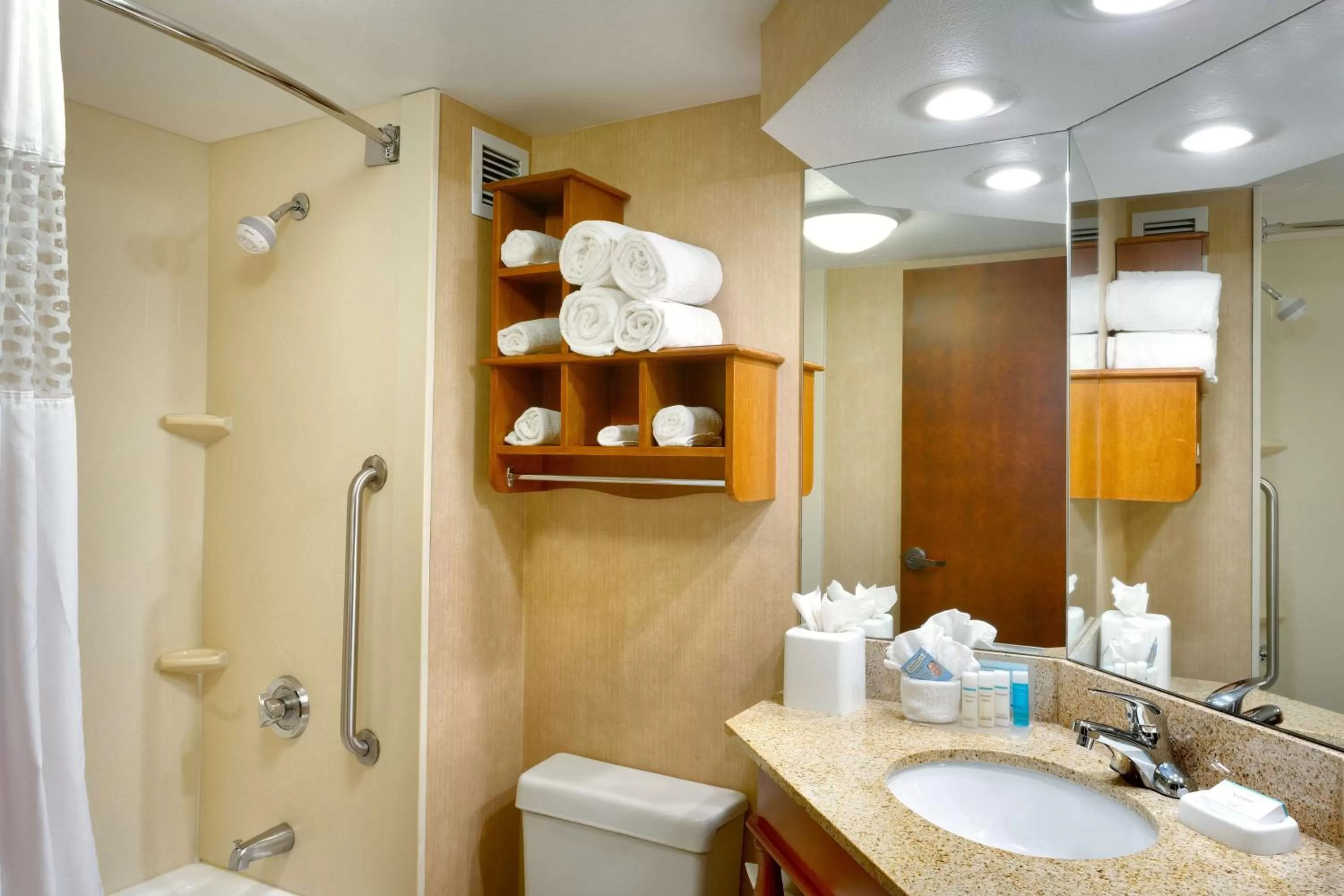 Bathroom in Hampton Inn Salt Lake City/Sandy