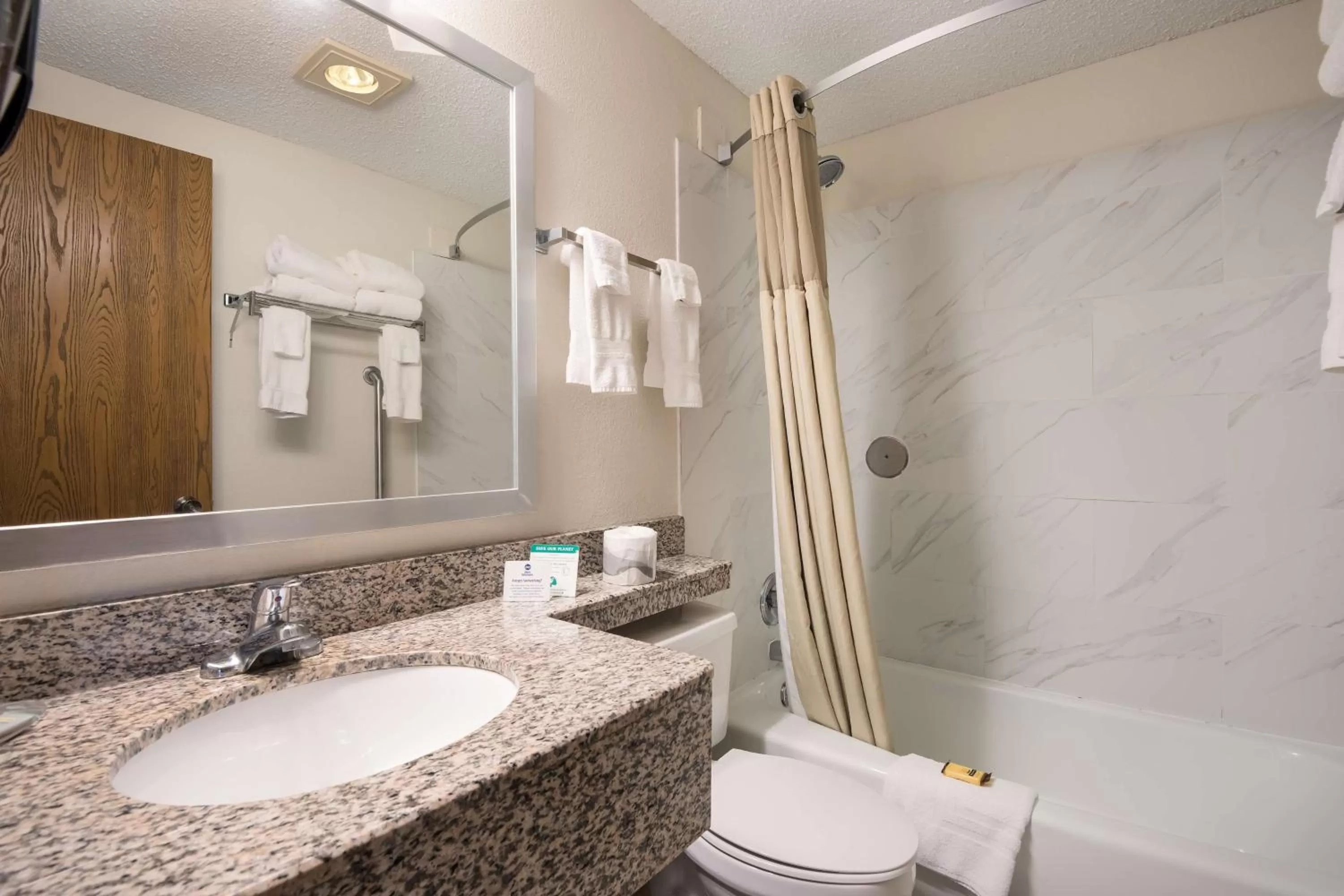 Bathroom in Best Western Mount Pleasant Inn