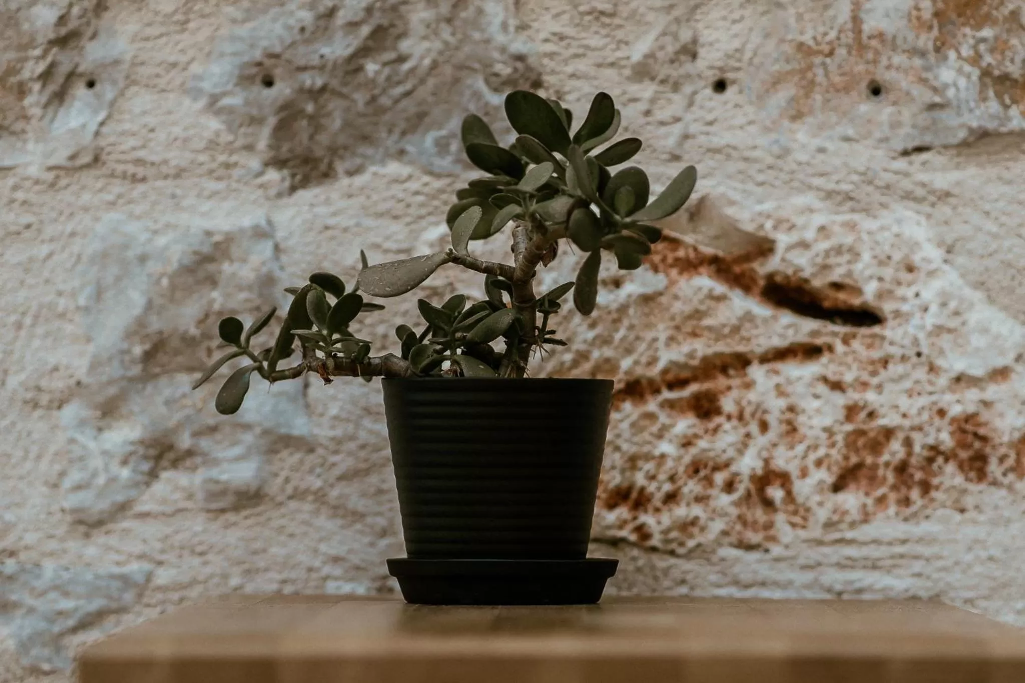 Property building in BOĒM Boutique Hotel Lefkada