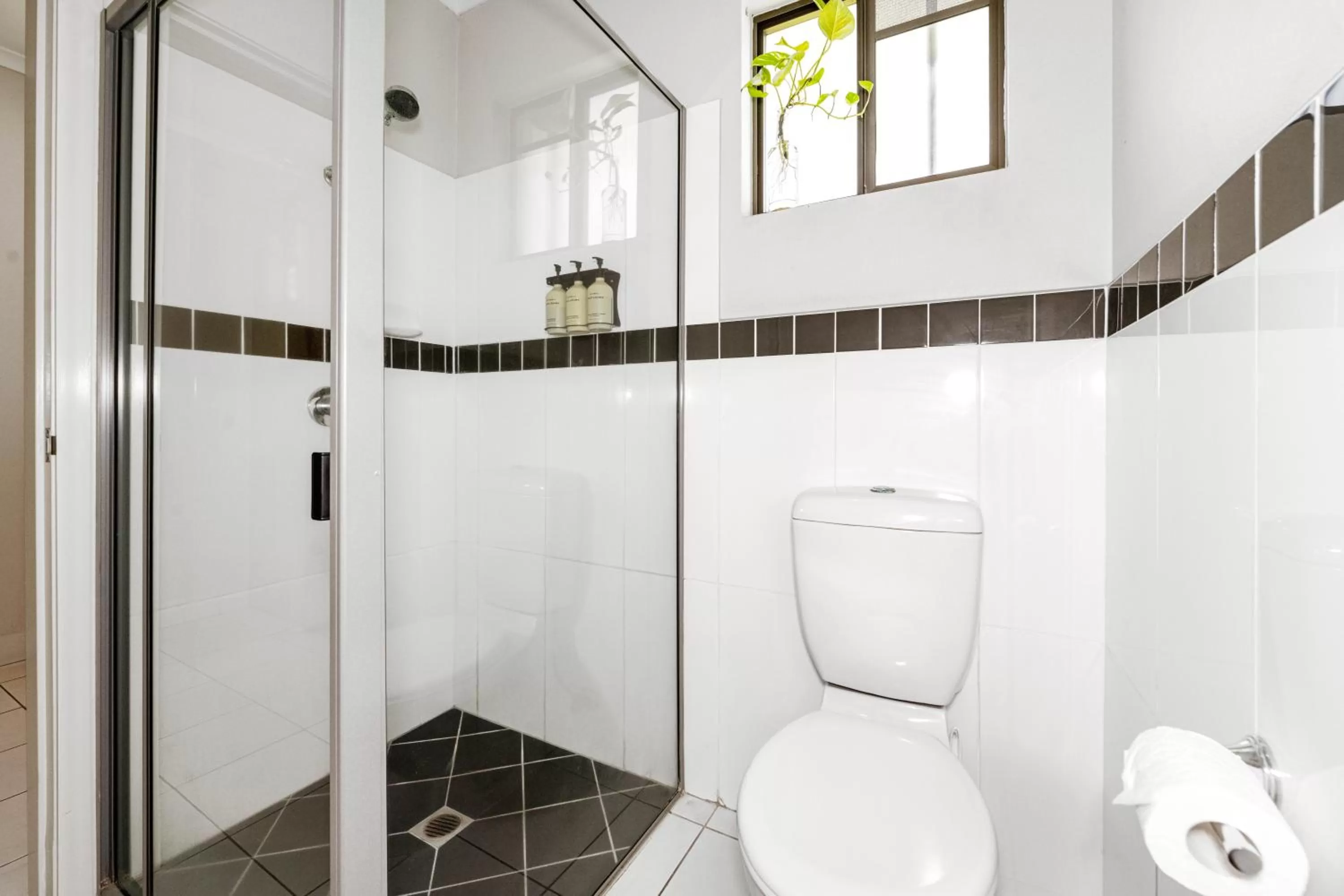 Shower in Alara Motor Inn