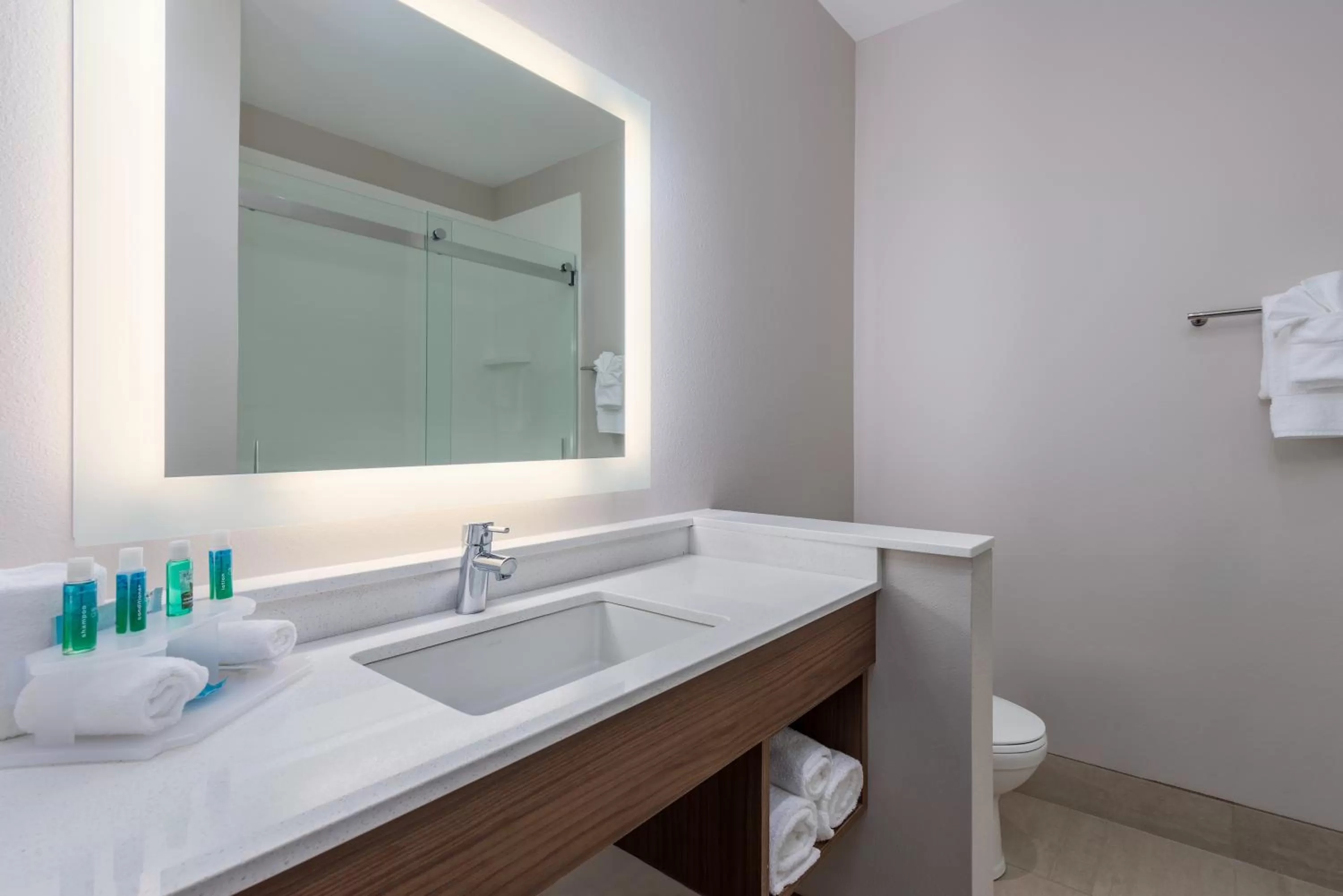 Bathroom in Holiday Inn Express and Suites Edwardsville by IHG