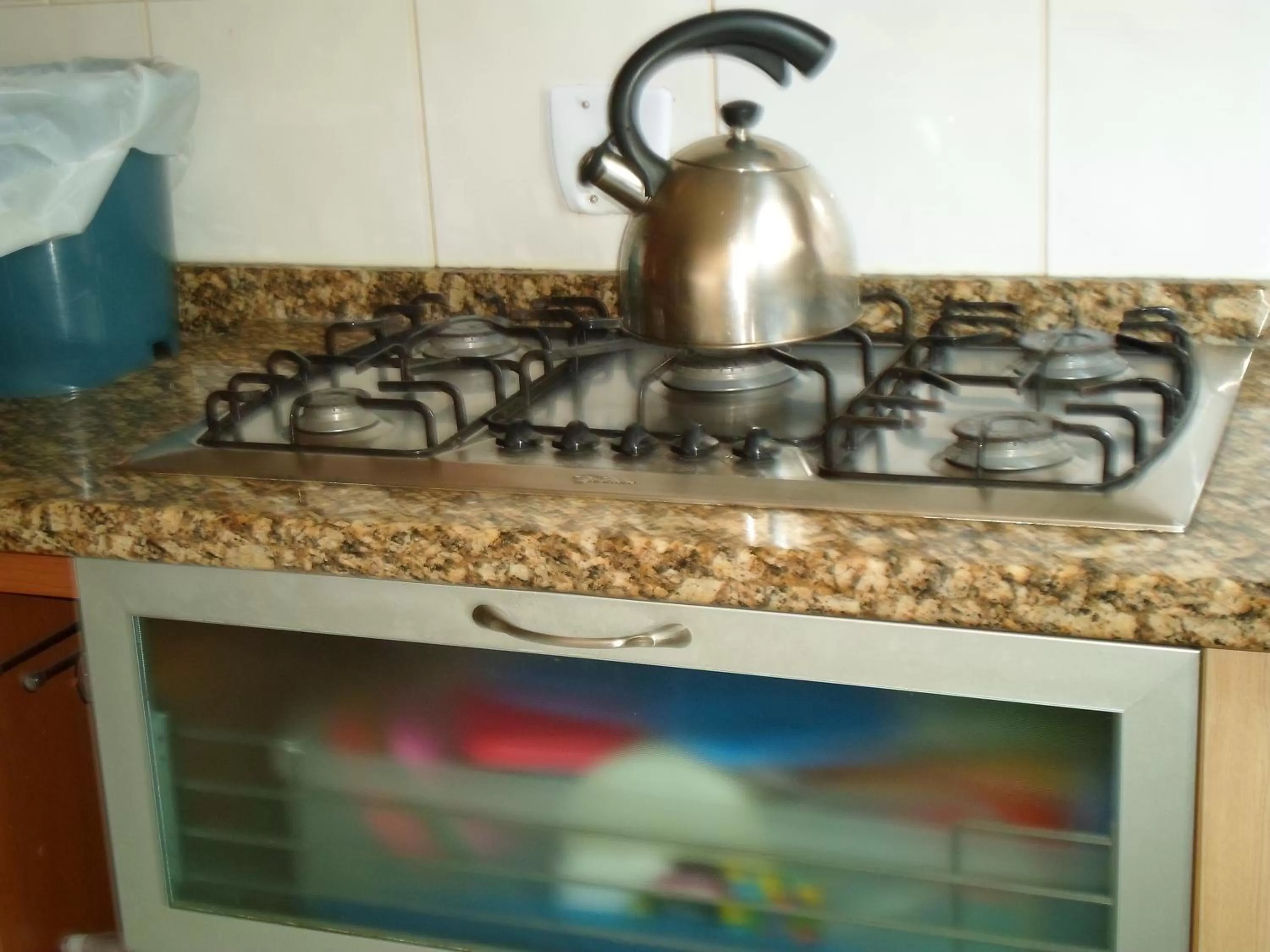 Coffee/tea facilities, Kitchen/Kitchenette in Assel Pousada Botanico