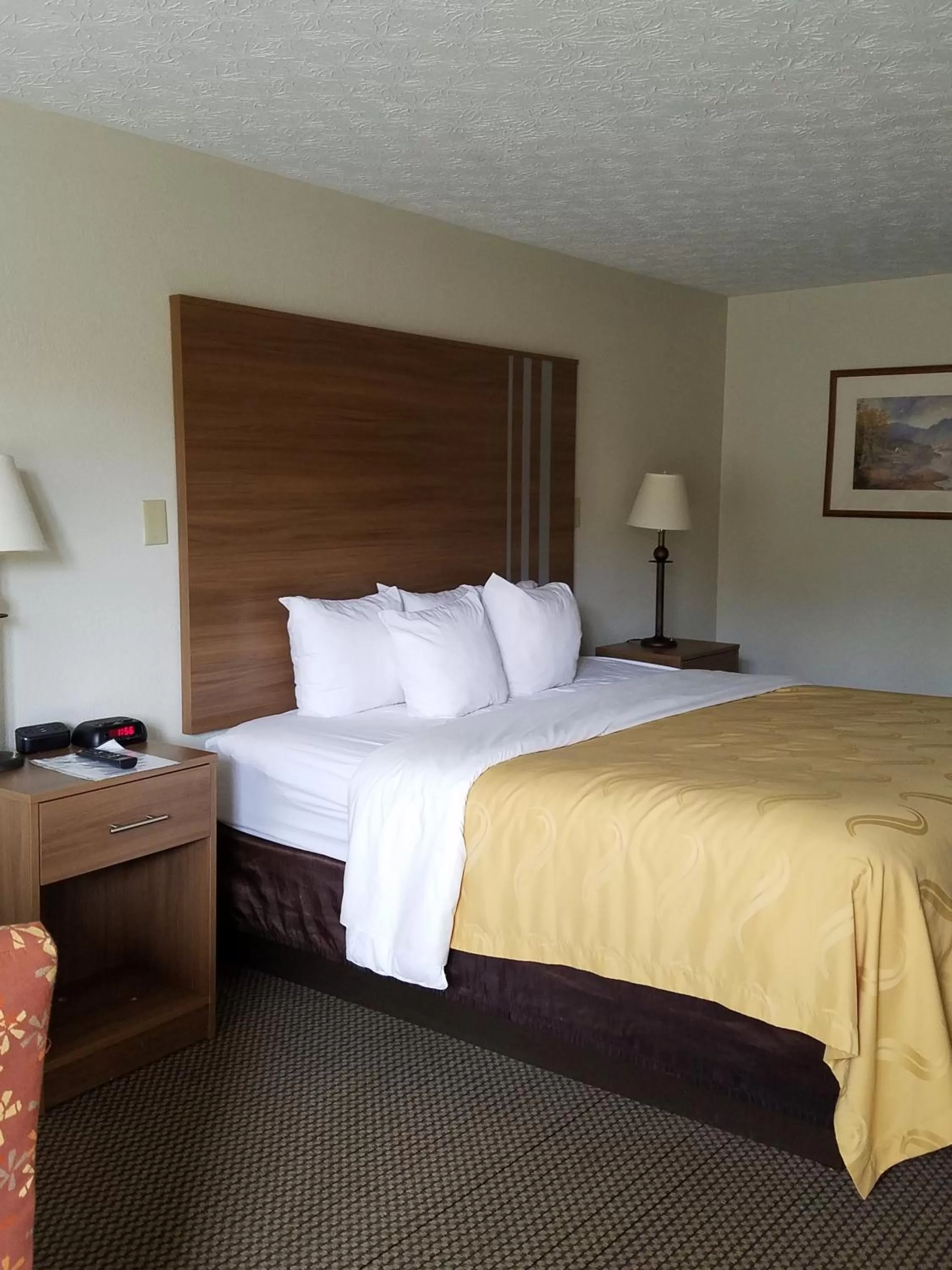 Bedroom, Bed in Quality Inn New River Gorge