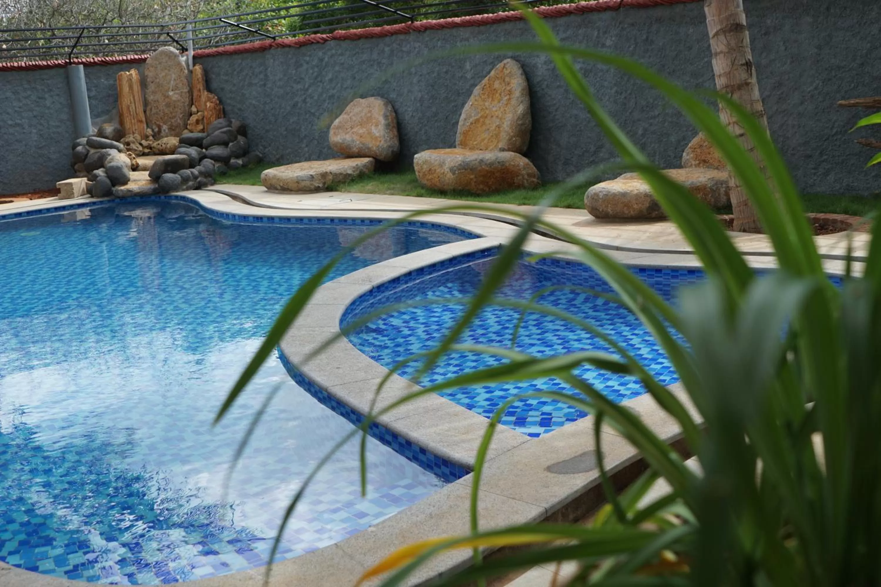 Swimming Pool in Green's Guest House