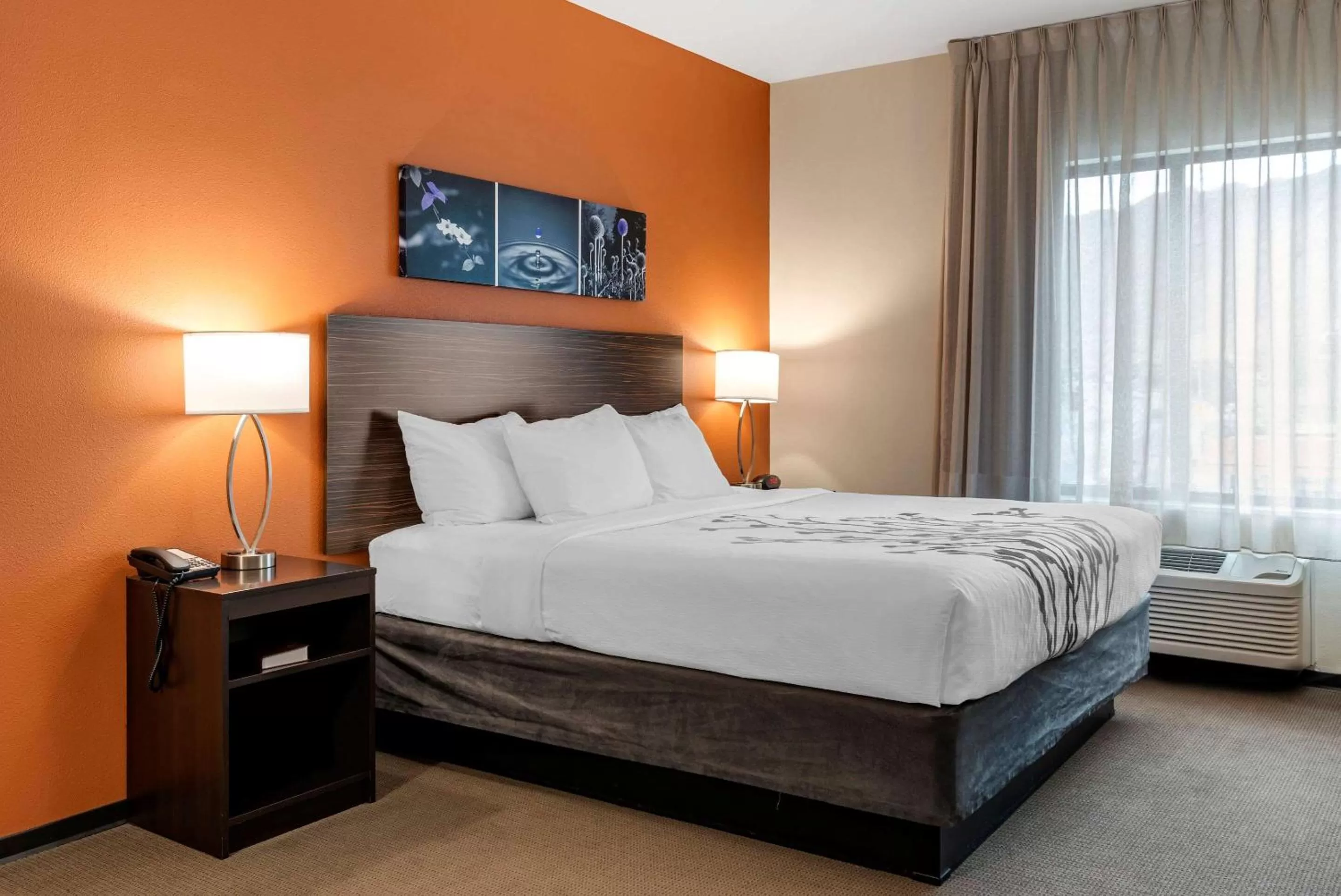 Photo of the whole room, Bed in Sleep Inn & Suites Moab near Arches National Park