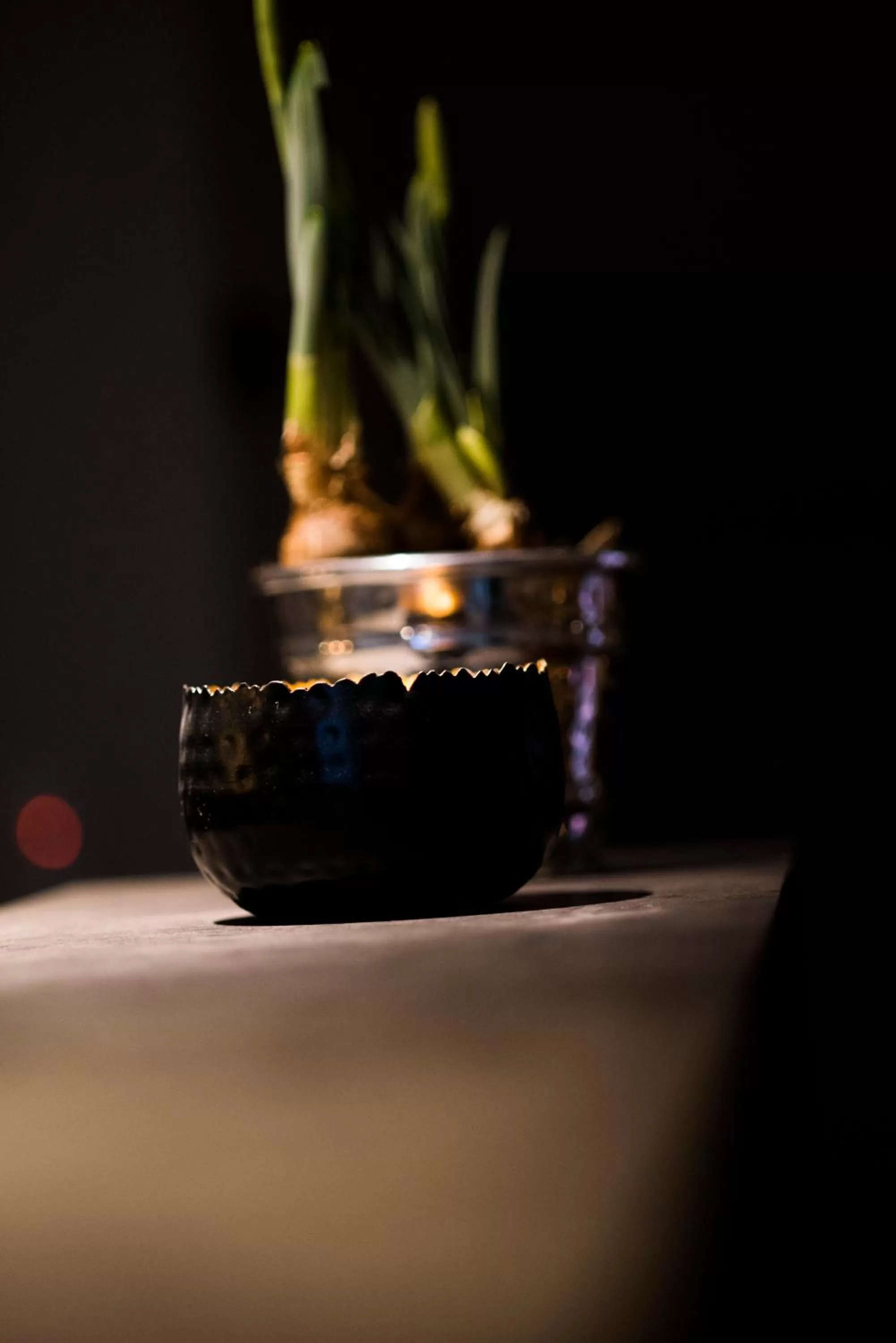 Hotel Wiesengrund Business & Boutique