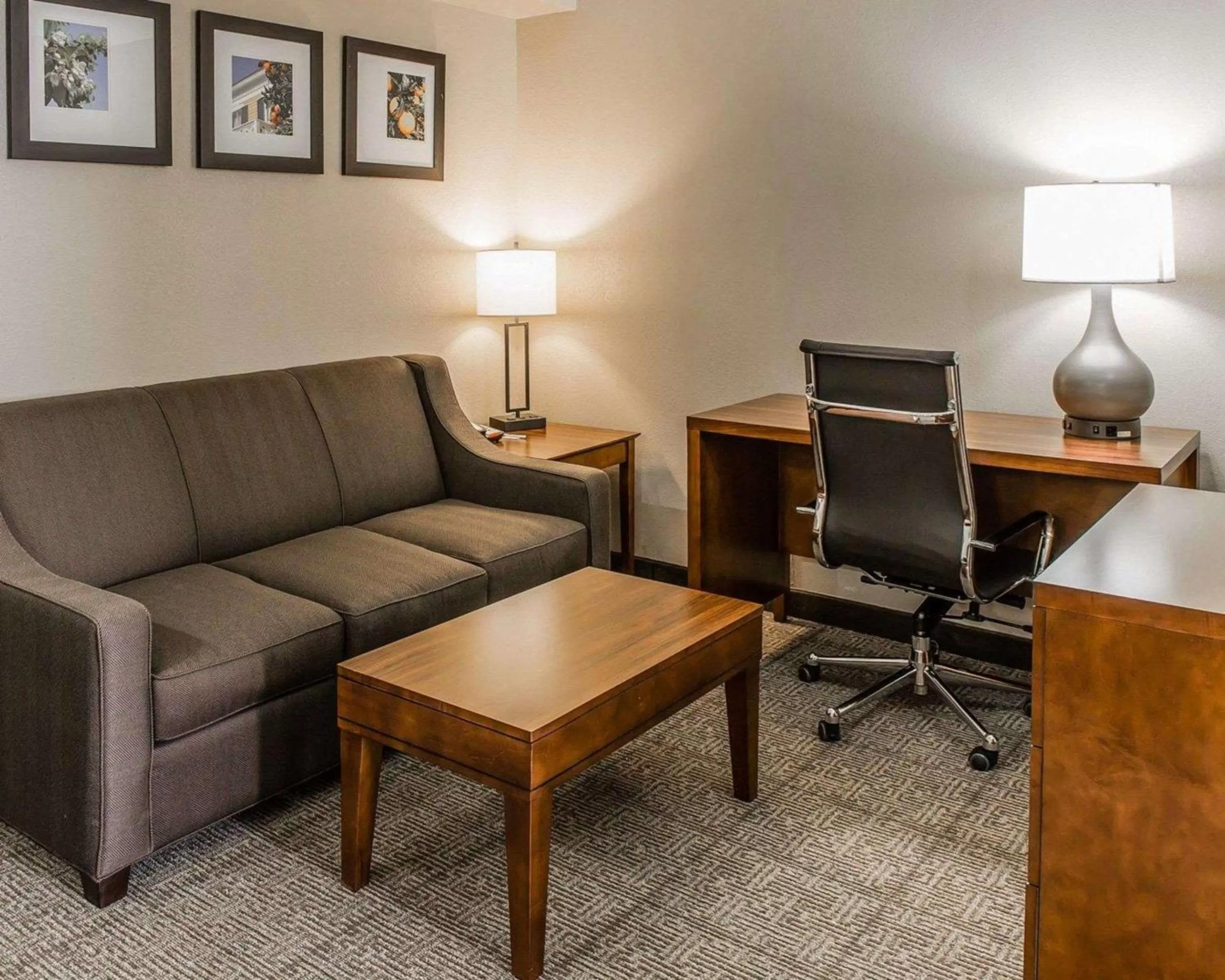 Photo of the whole room in Comfort Inn & Suites Lakeland North I-4