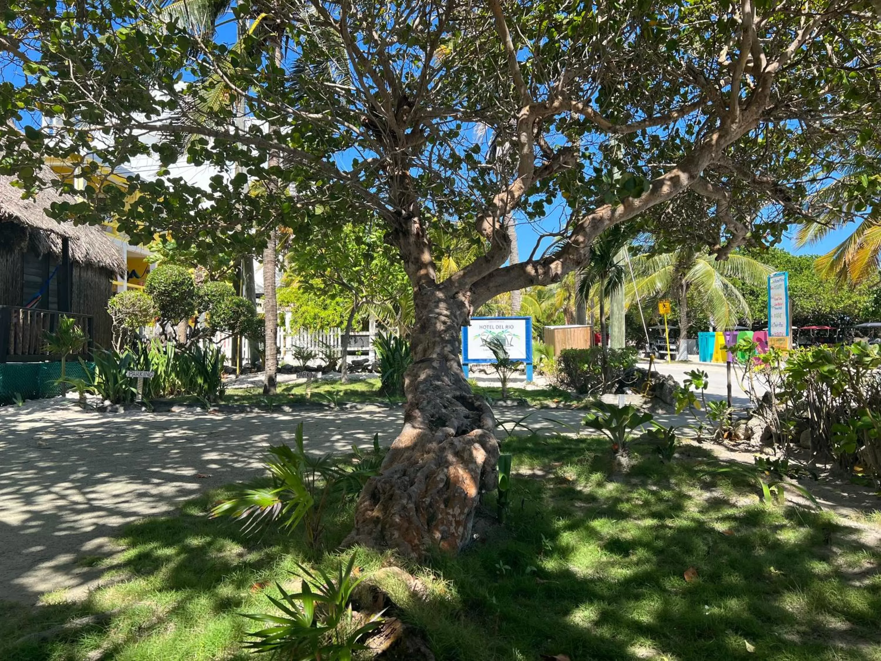 Other in Hotel Del Rio