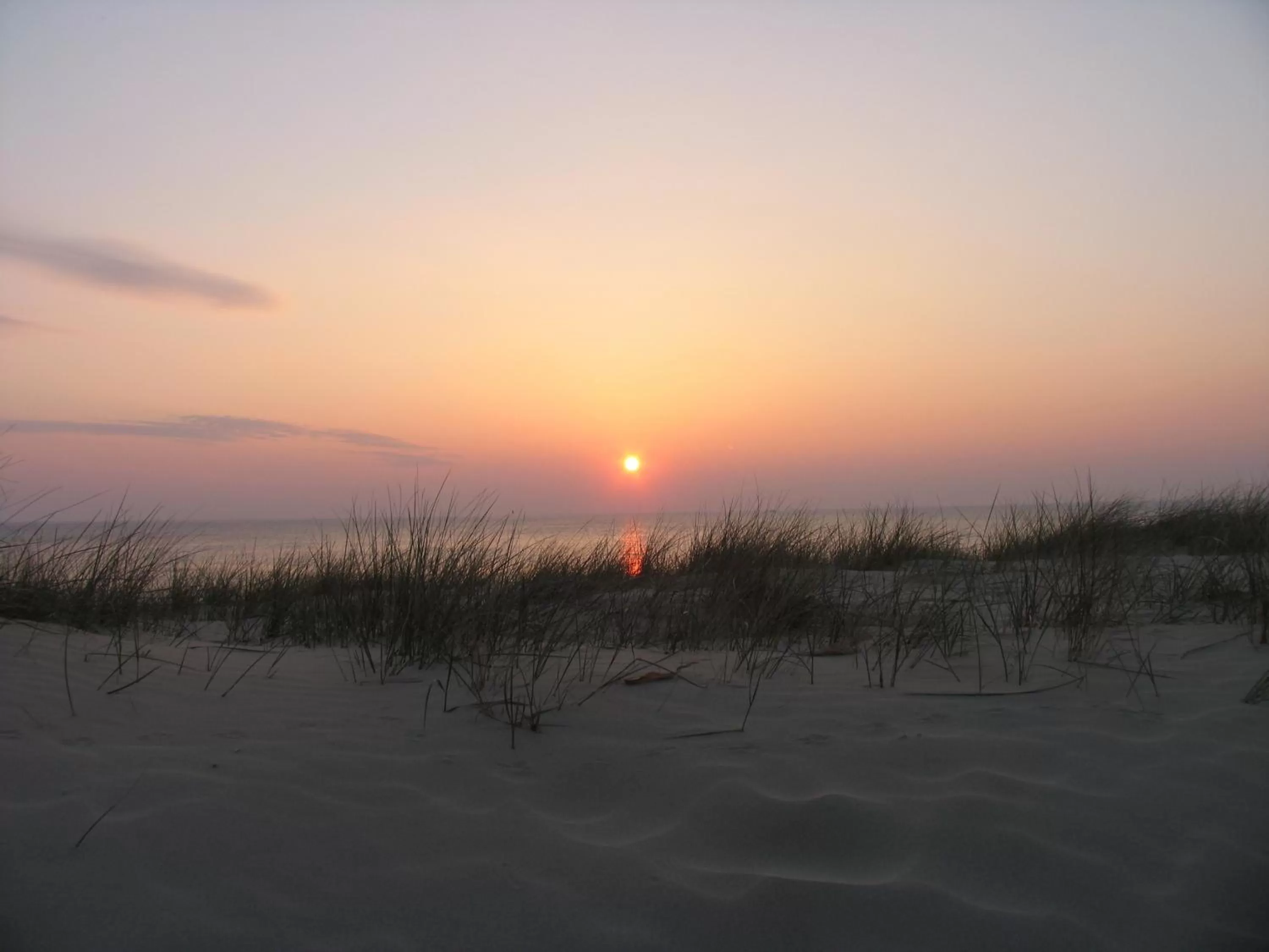 Area and facilities in Hotel Zuiderduin