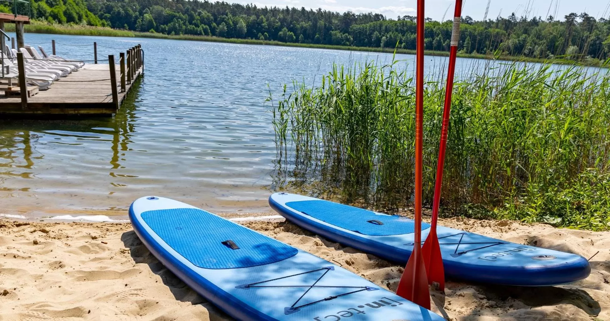 Beach in Hotel Döllnsee-Schorfheide