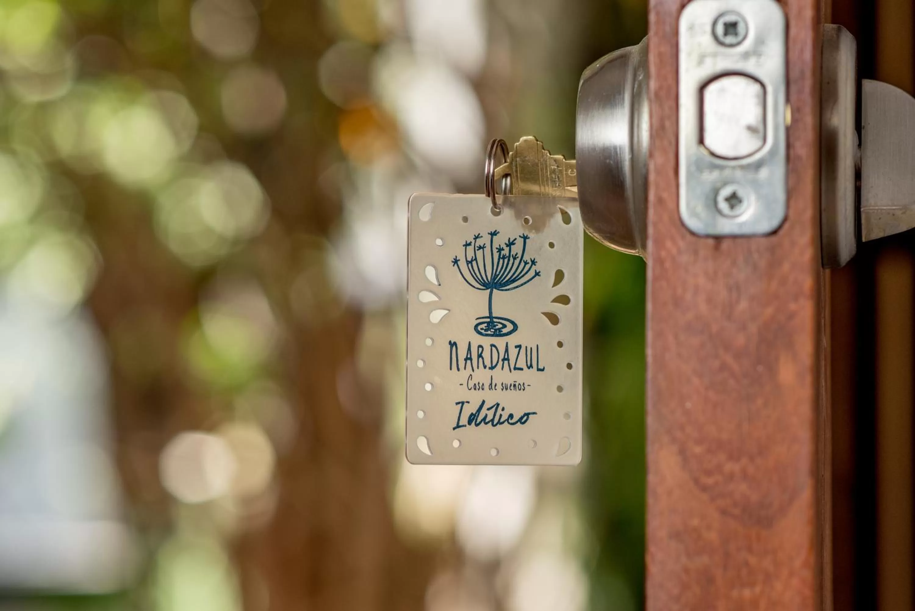 Nardazul "Casa de Sueños"