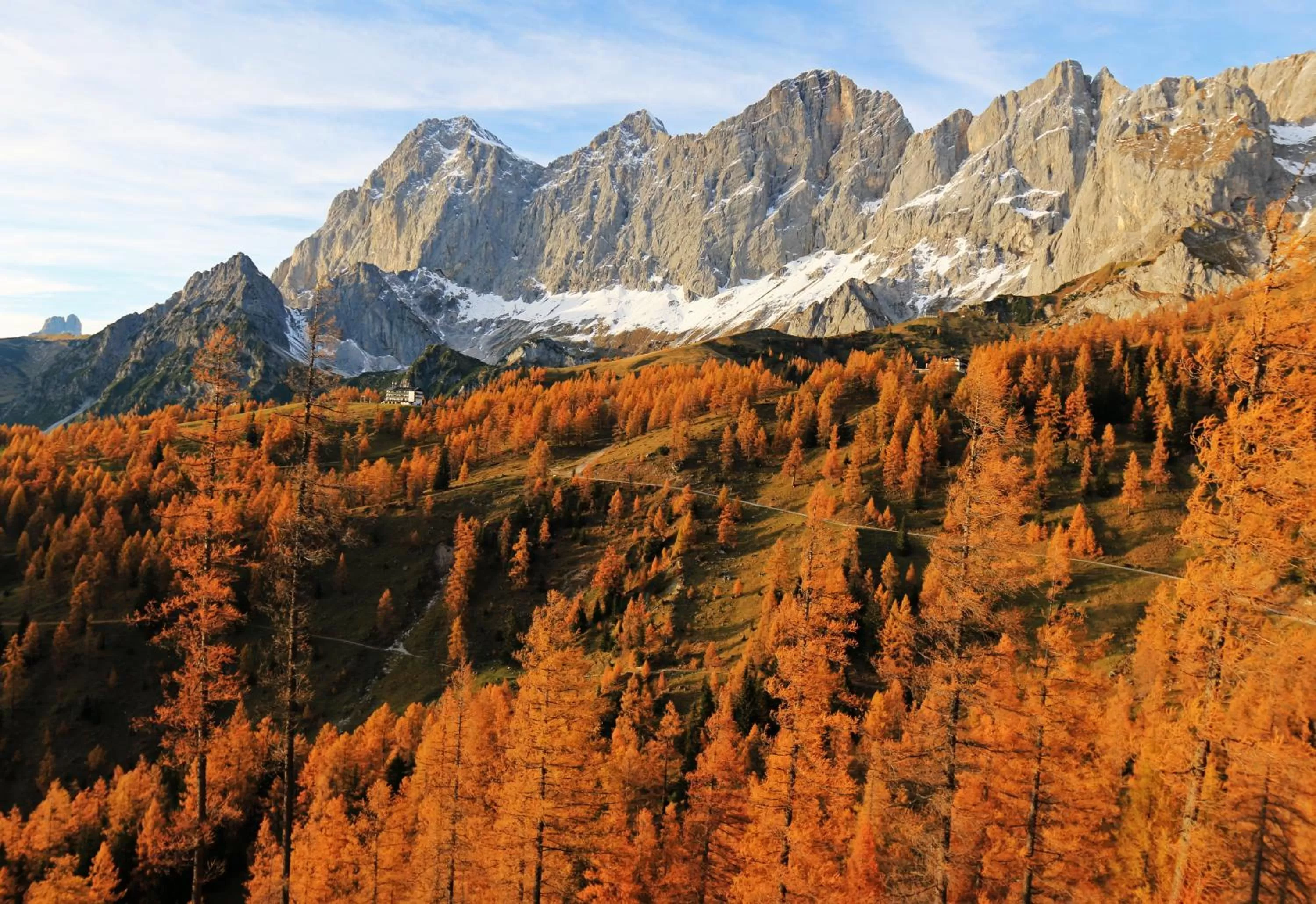 Natural landscape in Pension Adlerhorst