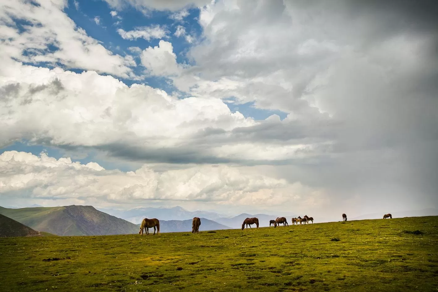 Natural landscape in Hotel Restaurant Les Brases