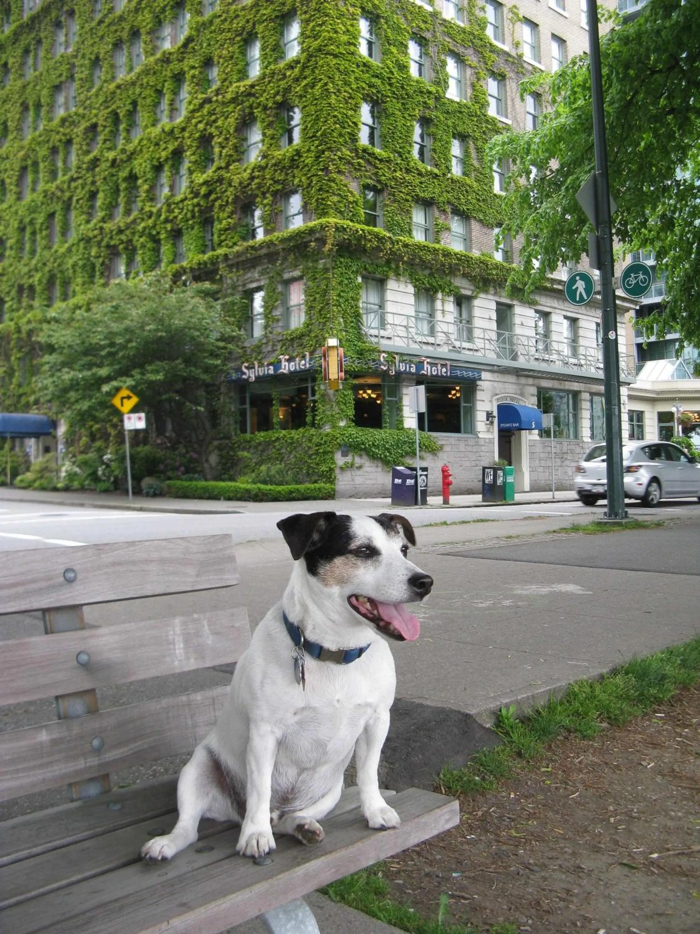 Facade/entrance in The Sylvia Hotel