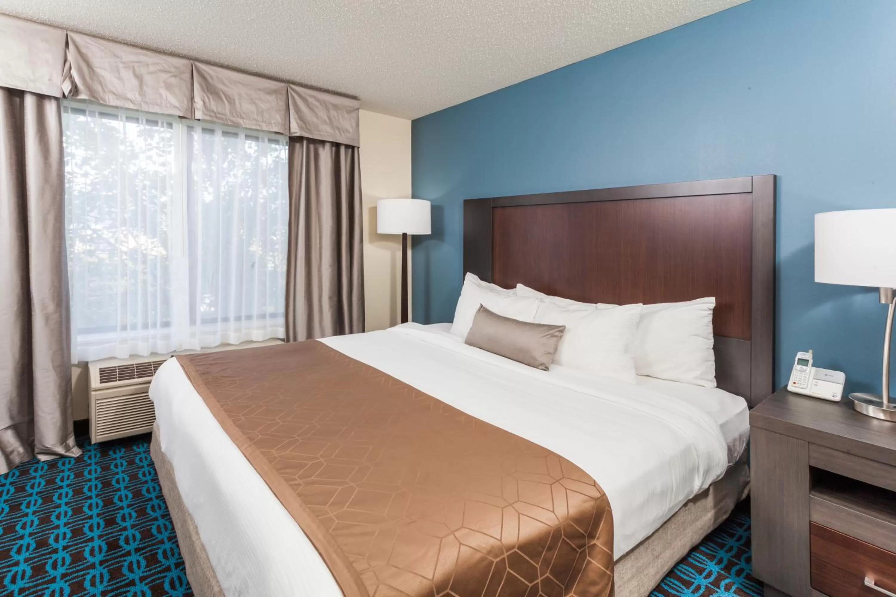 1 King, One Bedroom, Studio Suite, Non-Smoking in Wingate by Wyndham Schaumburg