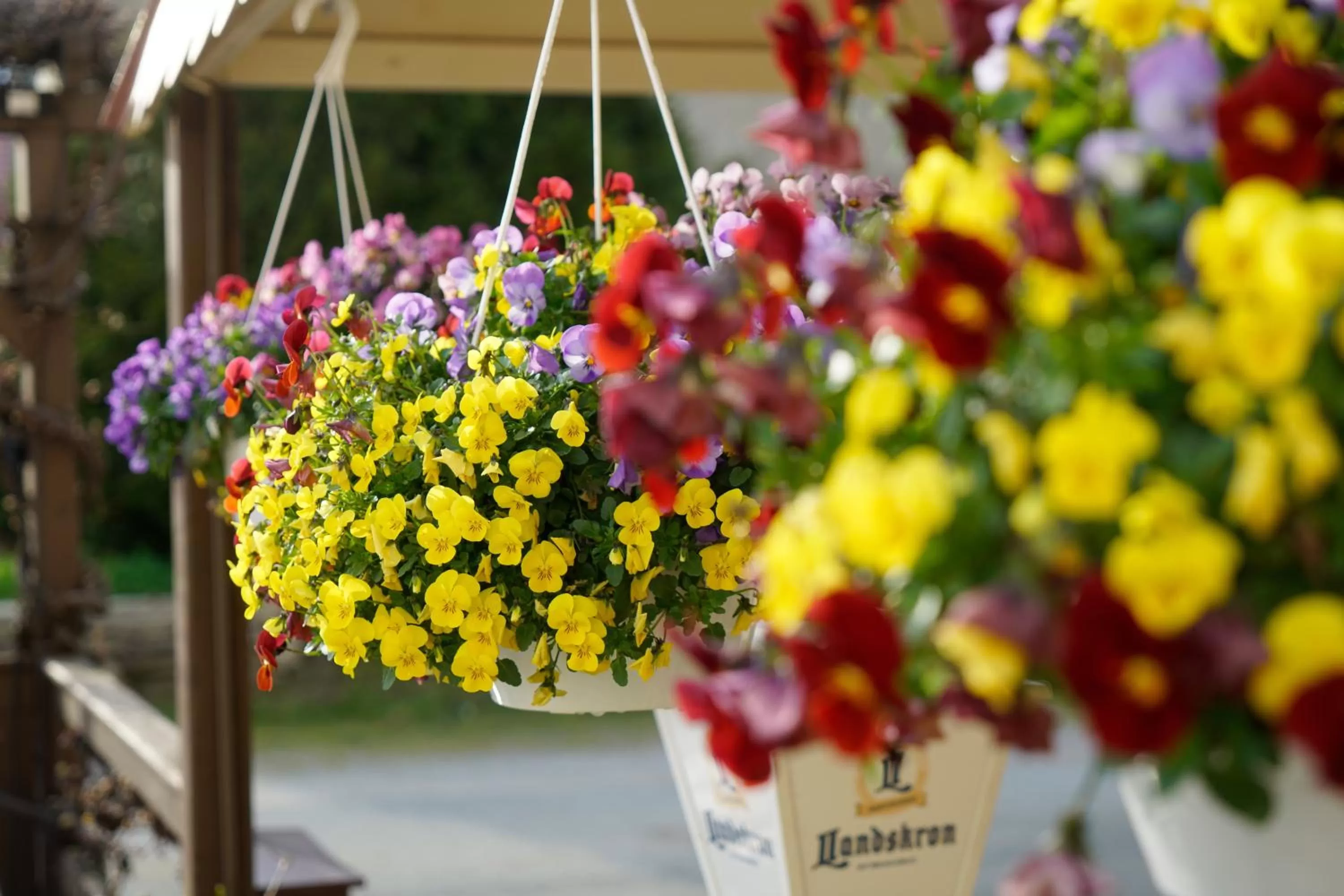 Hotel & Pension Aßmann