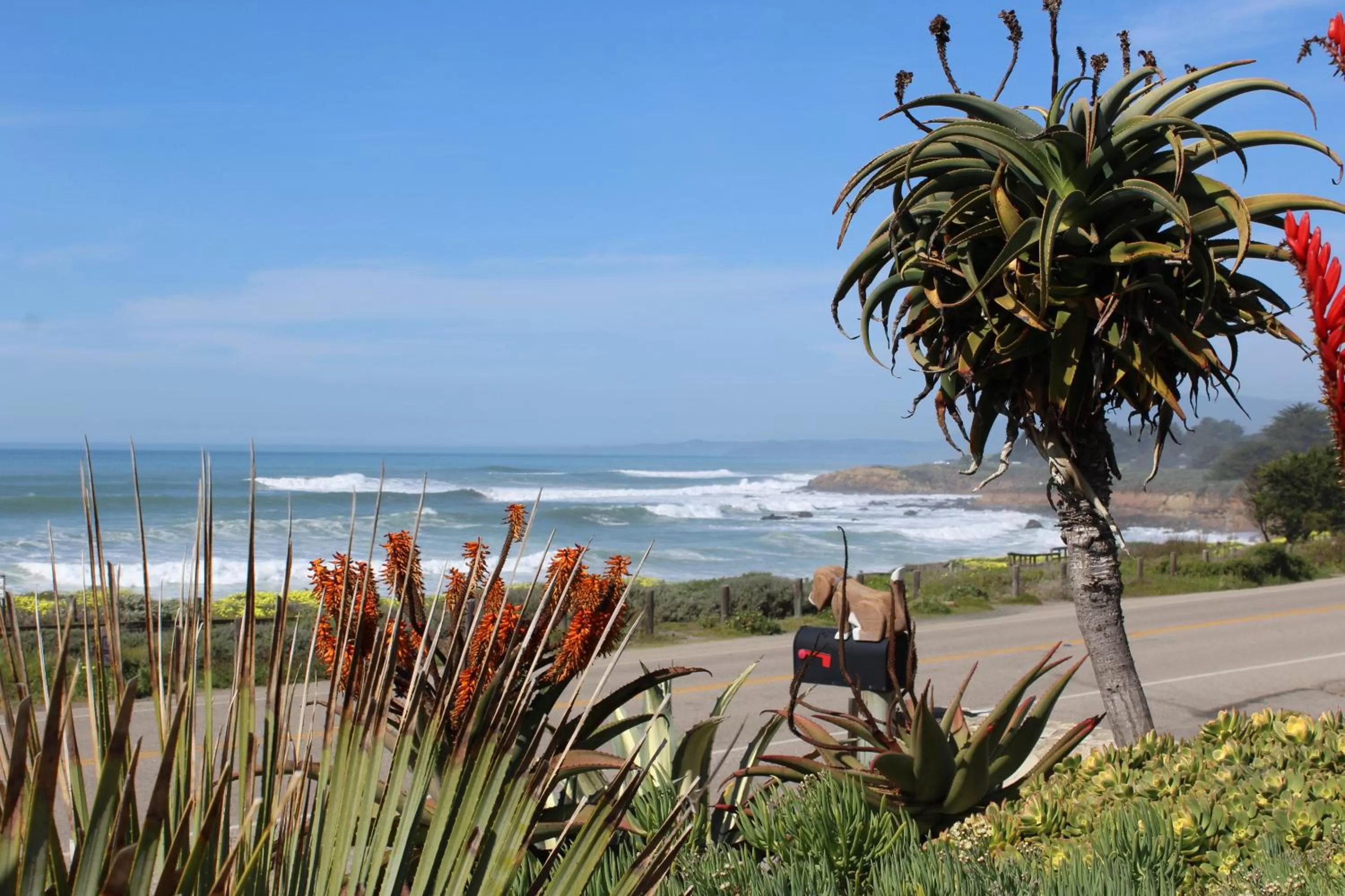 Garden view in Cambria Shores Inn