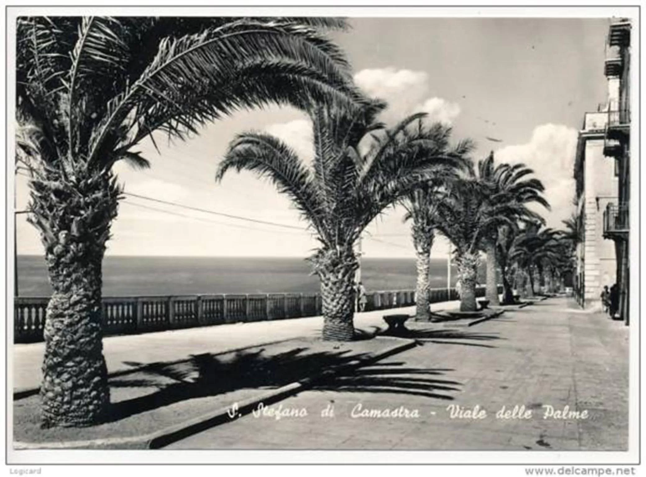 Area and facilities in Bed & Breakfast Il Castellino