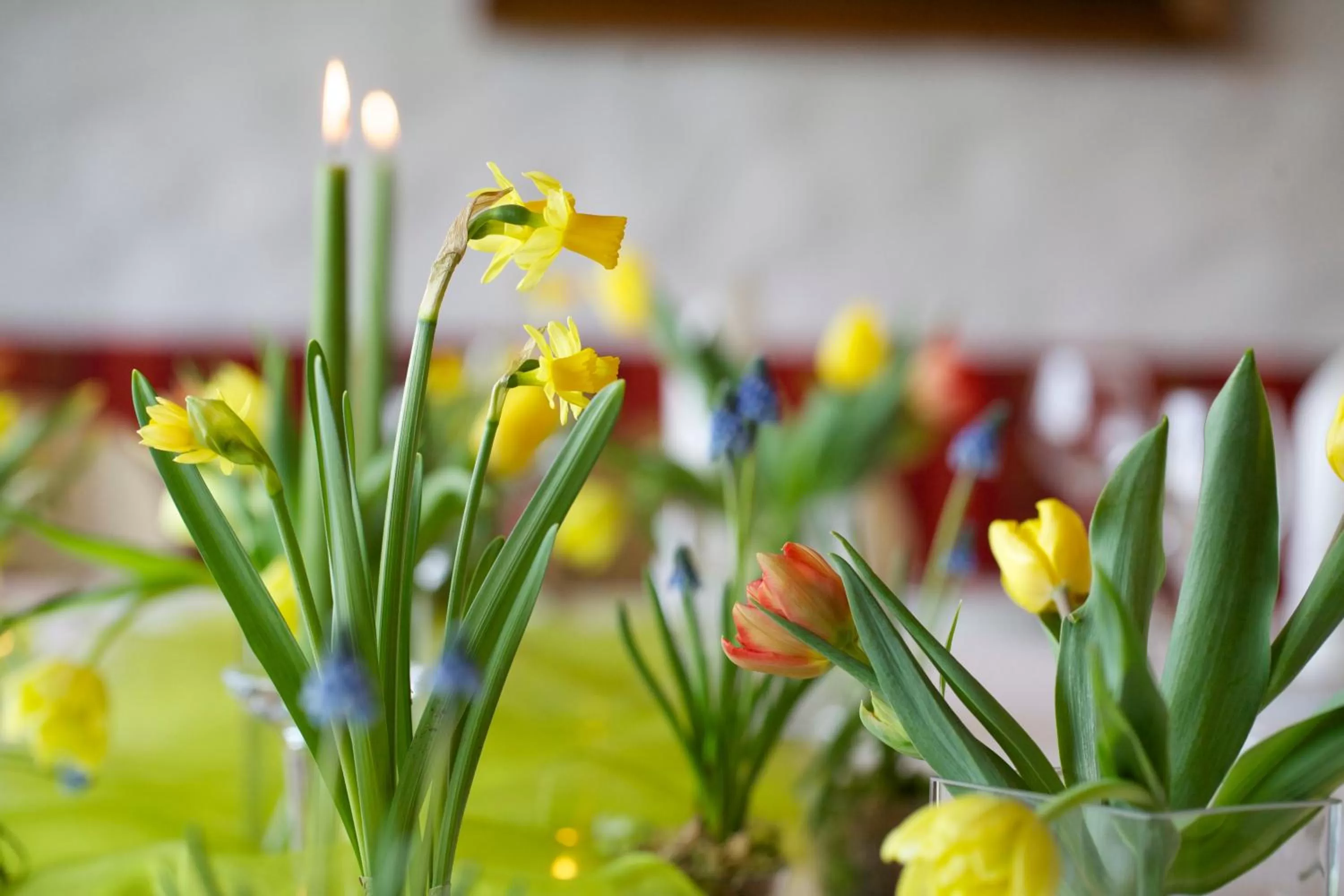 Restaurant/places to eat in Hotel & Restaurant Dornweiler Hof