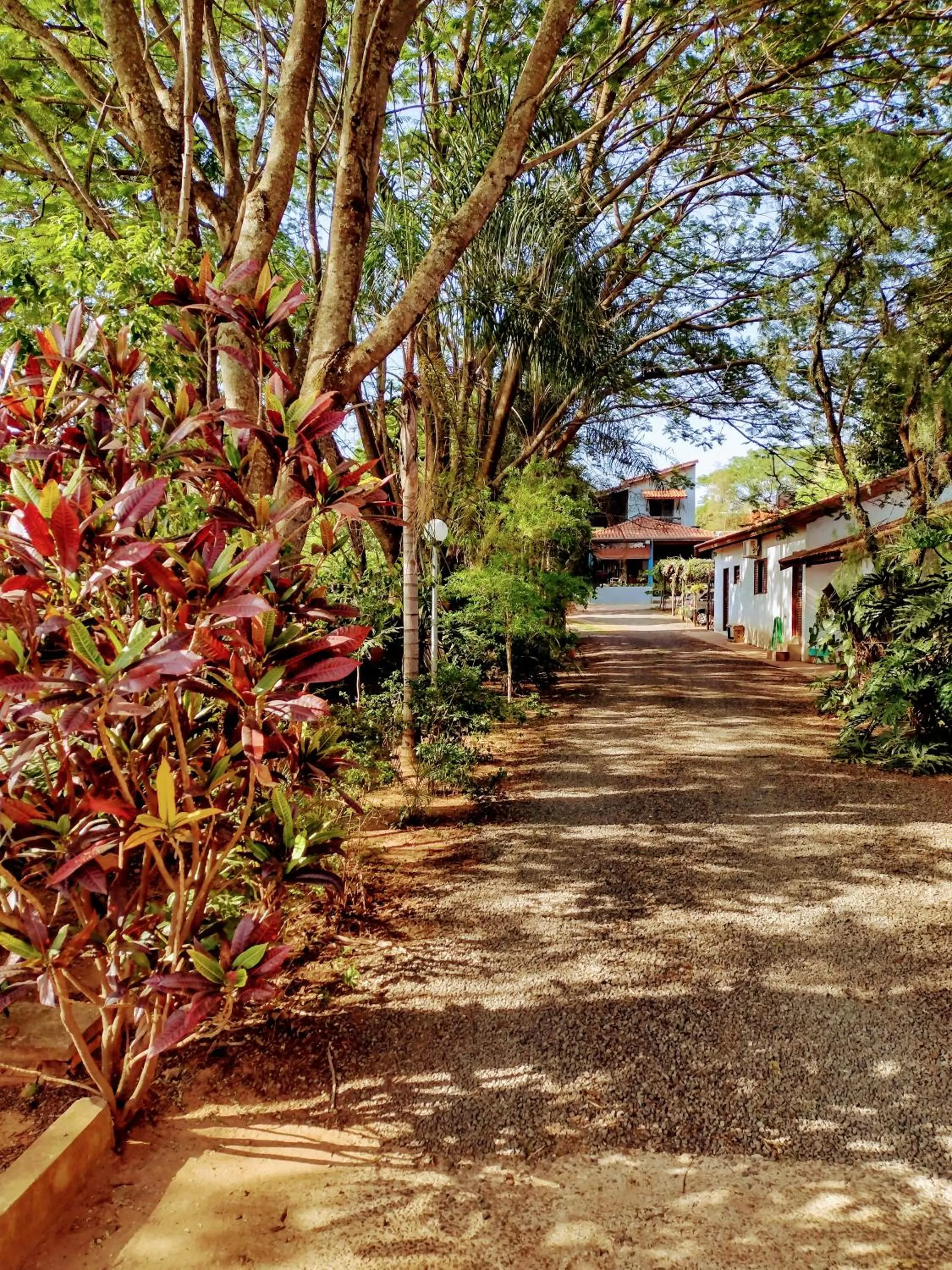 Suits - Canto do sabia