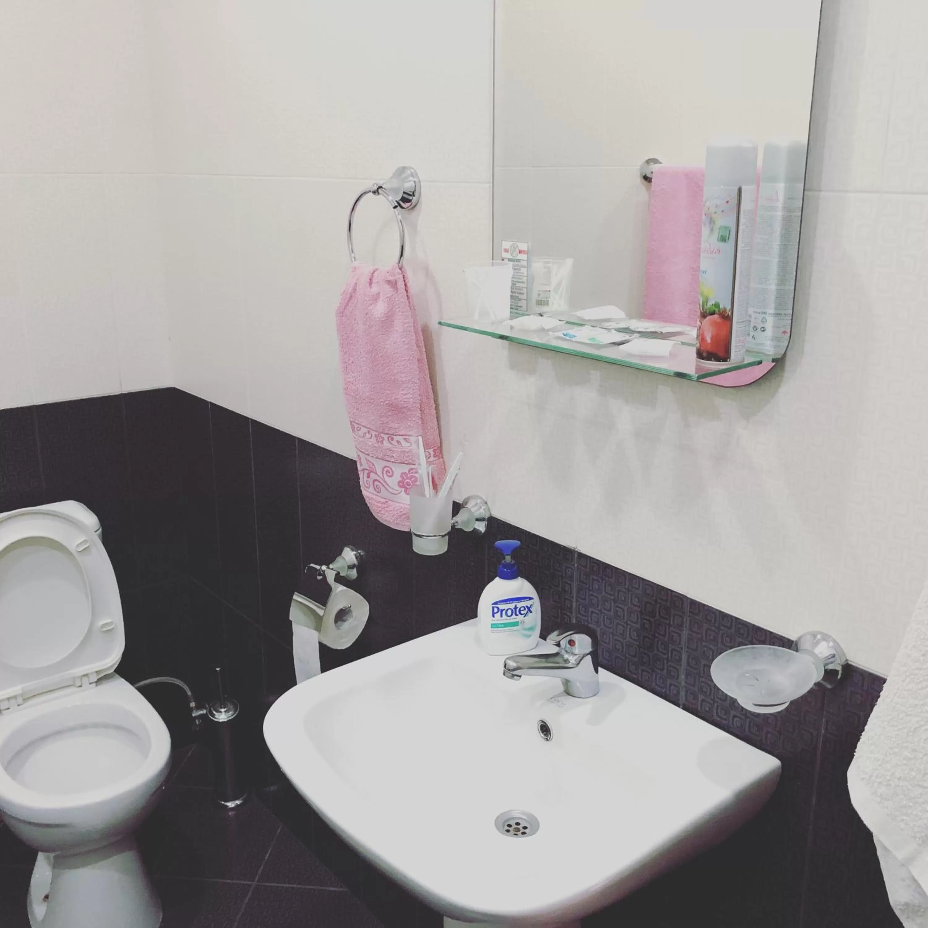 Bathroom in Vale hotel&restaurant complex