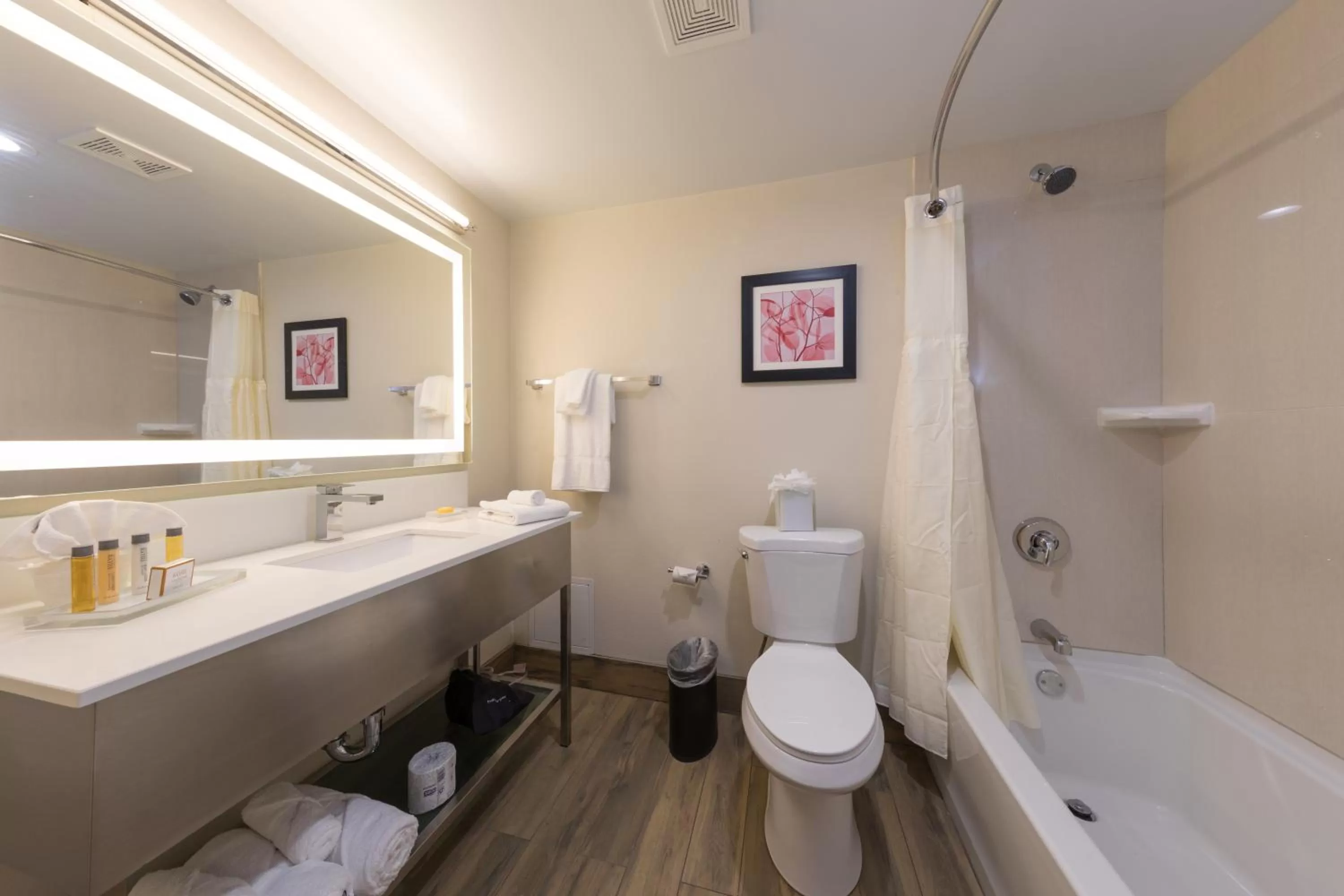 Toilet in Holiday Inn Brookfield - Milwaukee by IHG