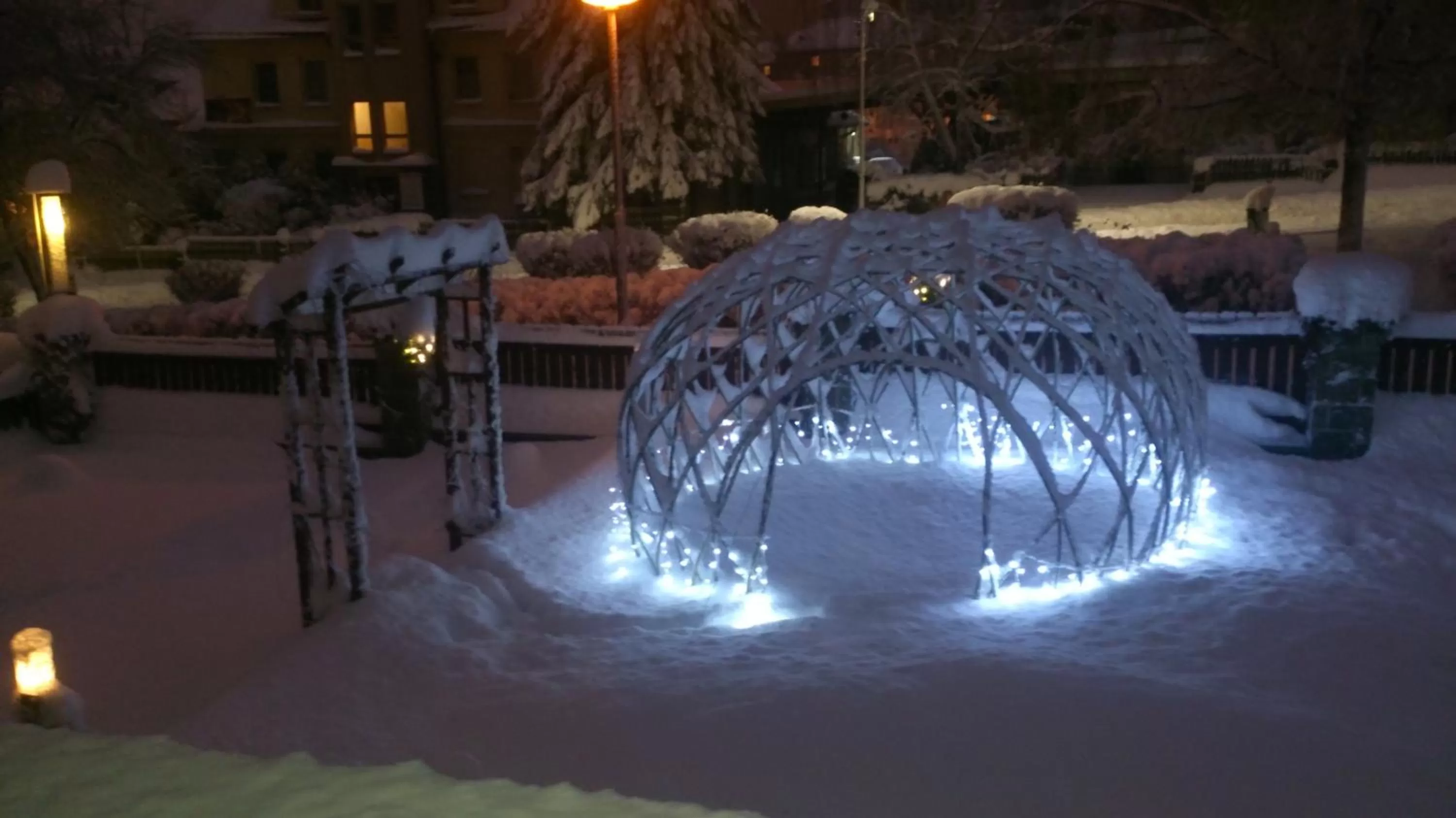 Garden, Winter in Hotel Alfa