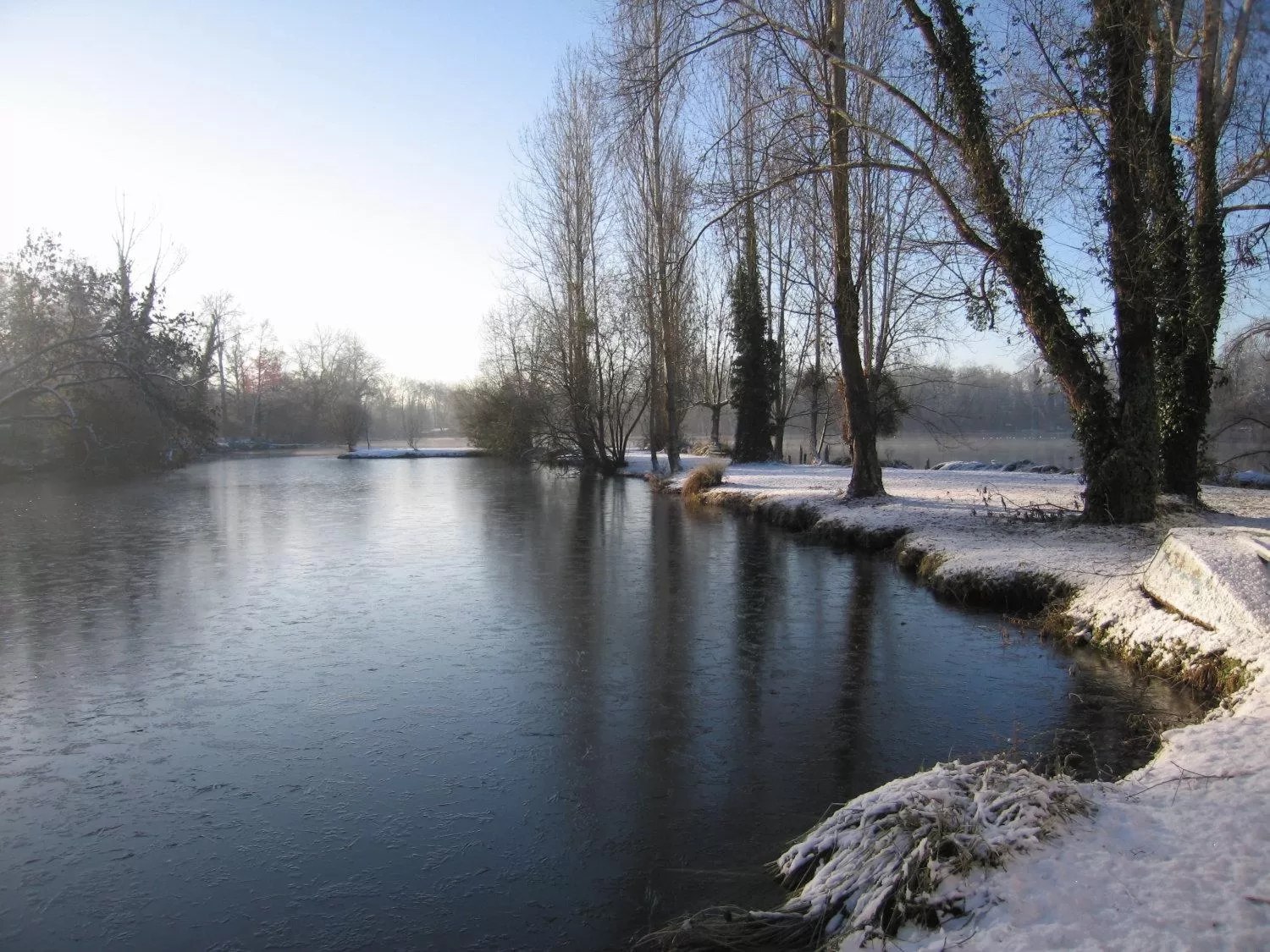 Area and facilities in Hôtel L'ile Du Saussay