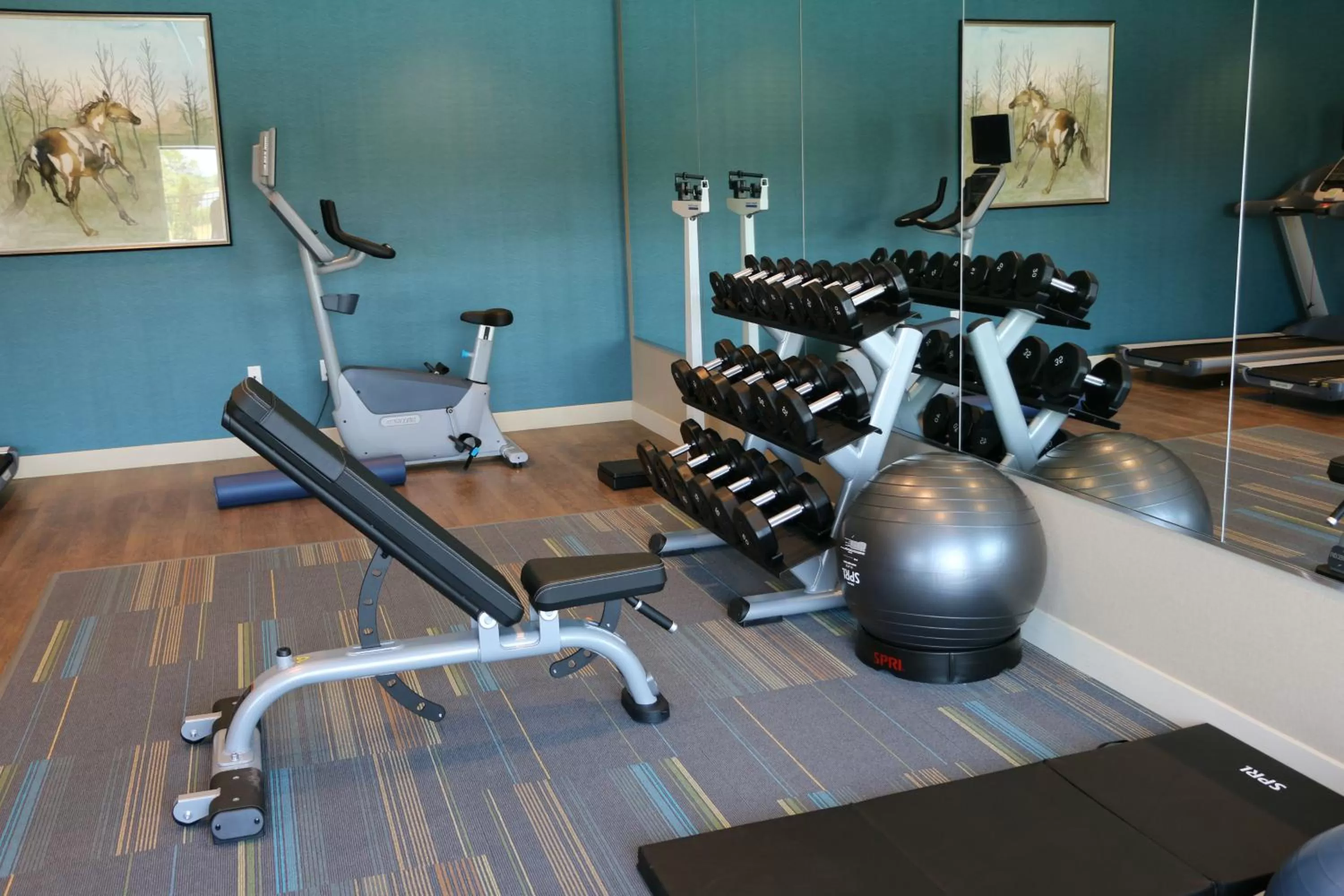 Fitness centre/facilities in Holiday Inn Express & Suites - Hendersonville SE - Flat Rock by IHG