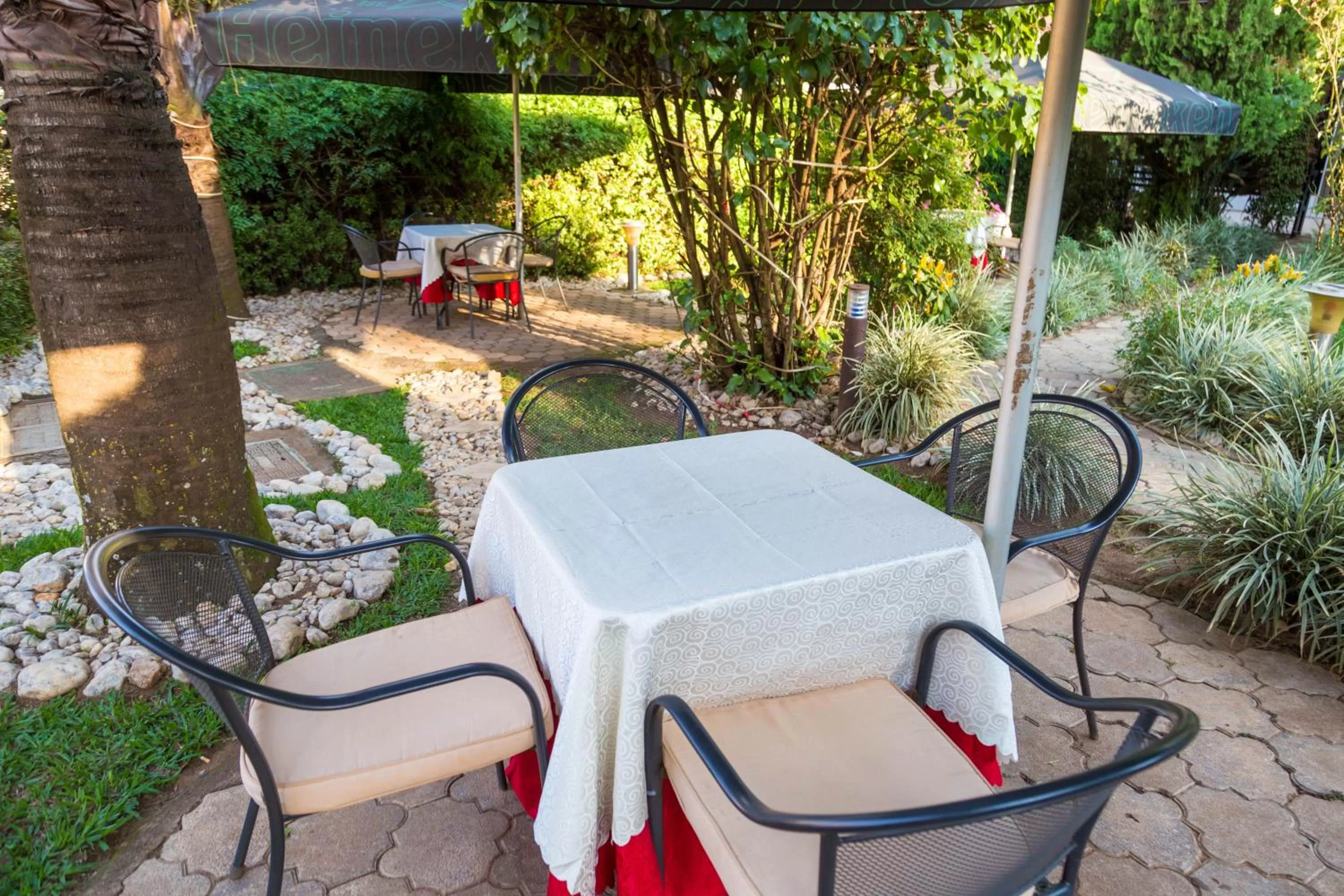 Garden in Olympic Hotel