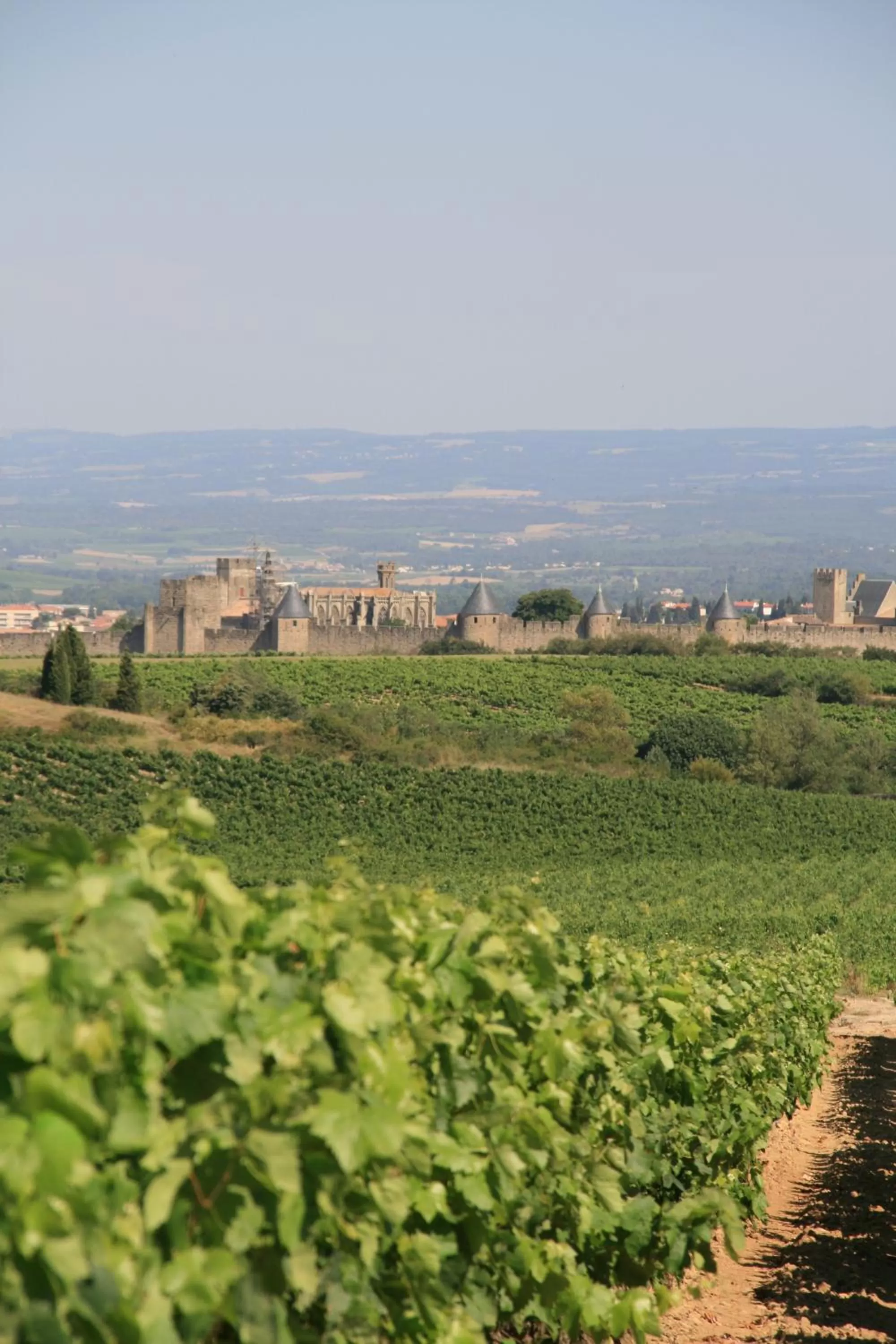 Natural landscape in La Maison sur la Colline