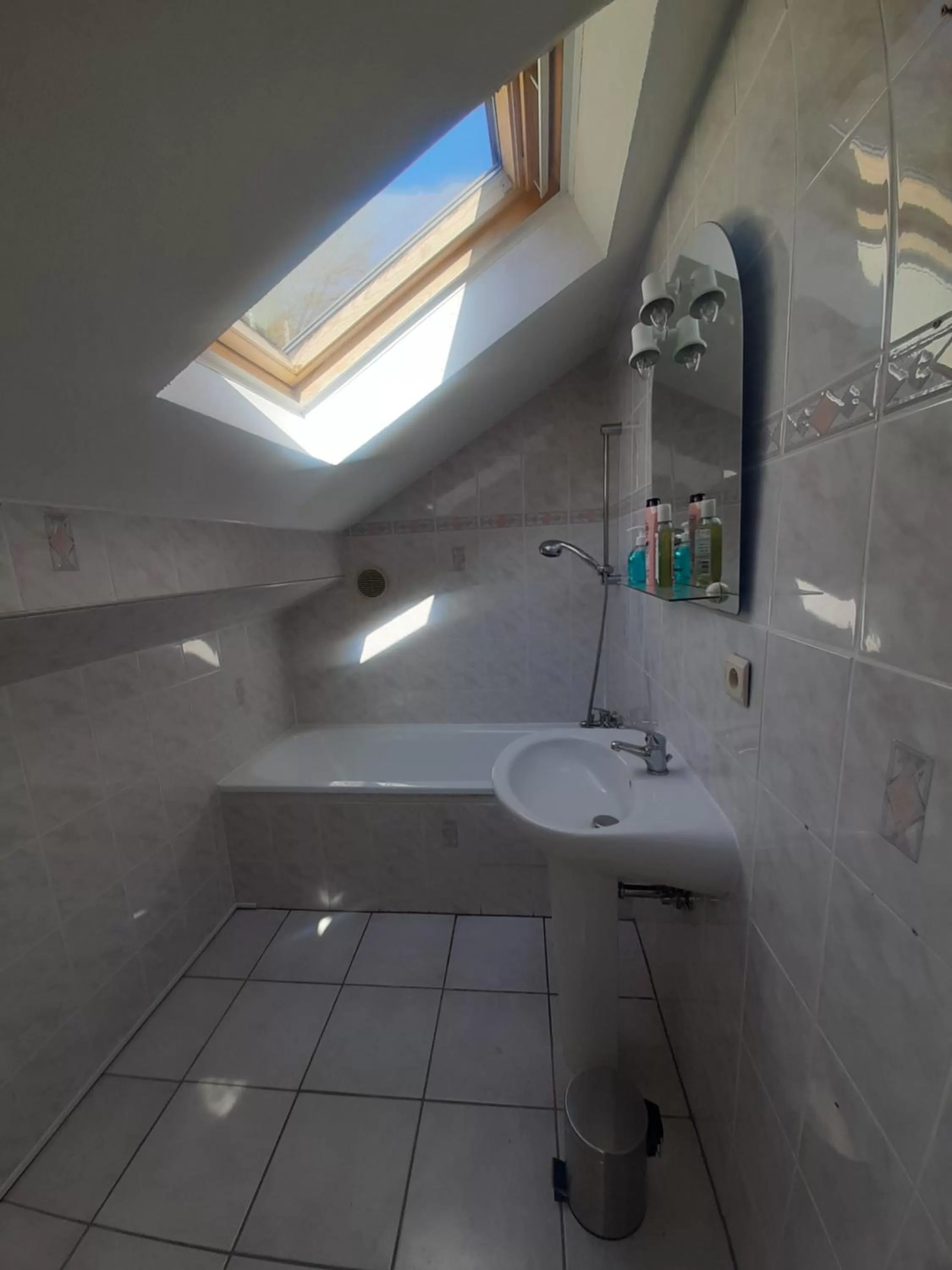 Bathroom in Golden Lion