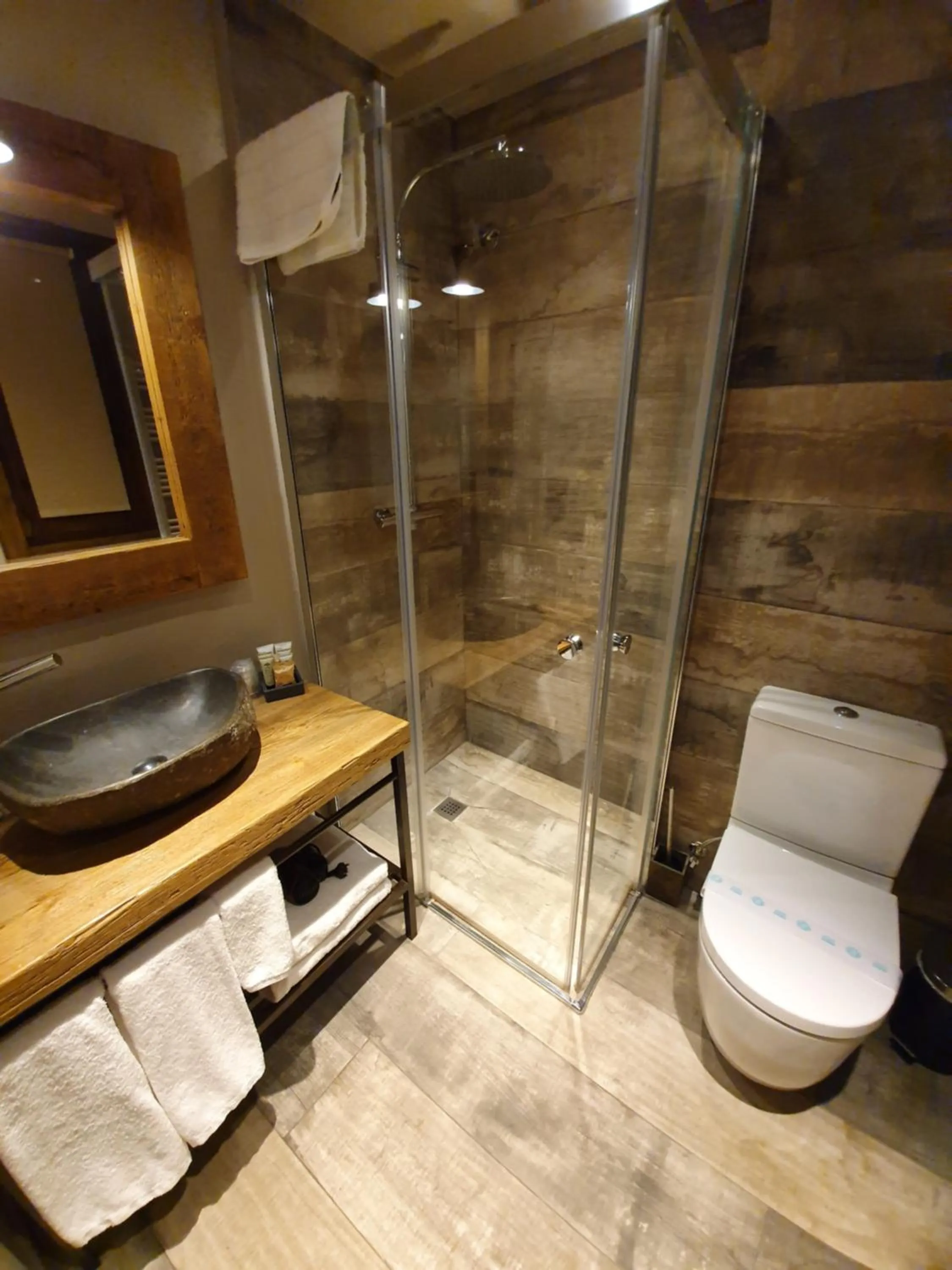 Shower in Hotel Boutique Puig Francó