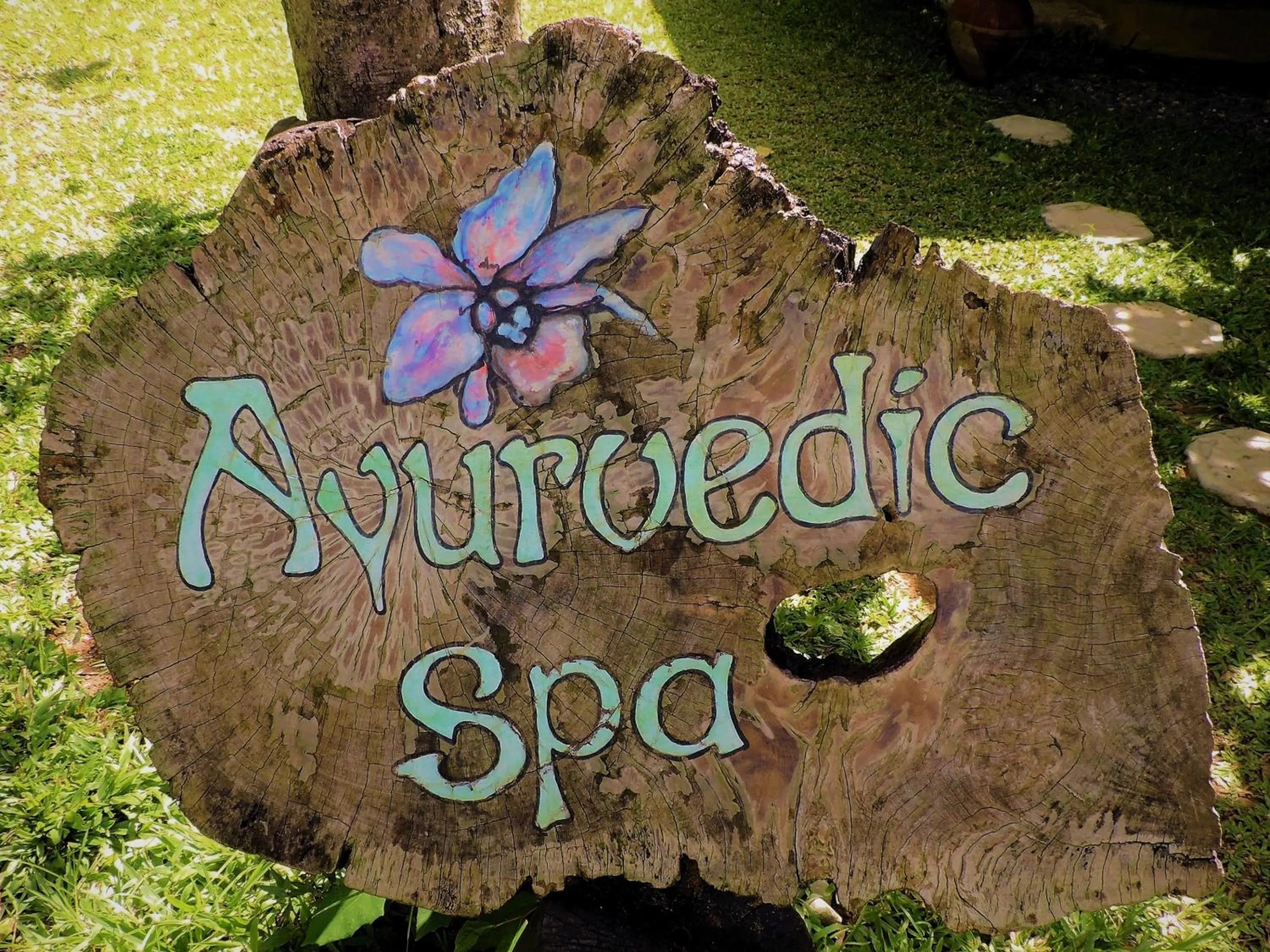 Spa and wellness centre/facilities in Yasmin Hill Longevity Oasis