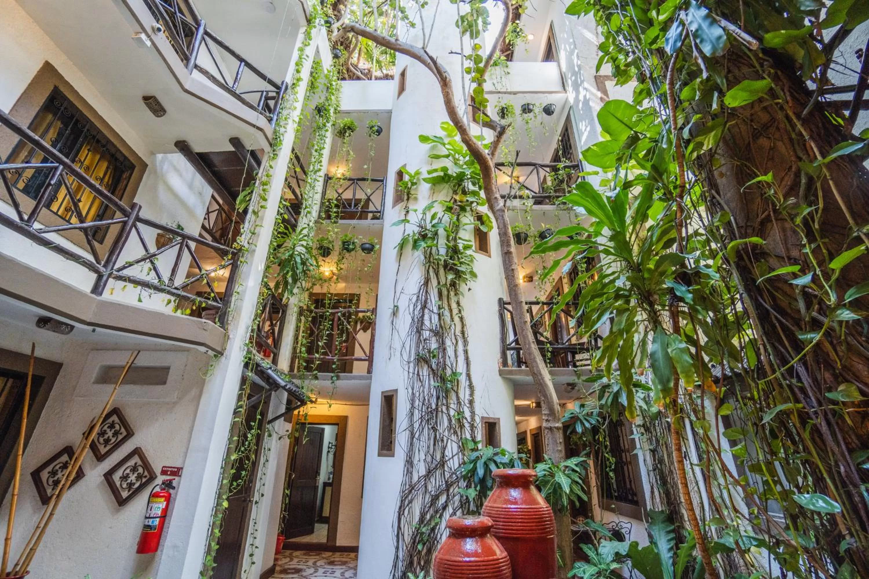 Garden view in Posada Mariposa Boutique Hotel - 5th Avenue