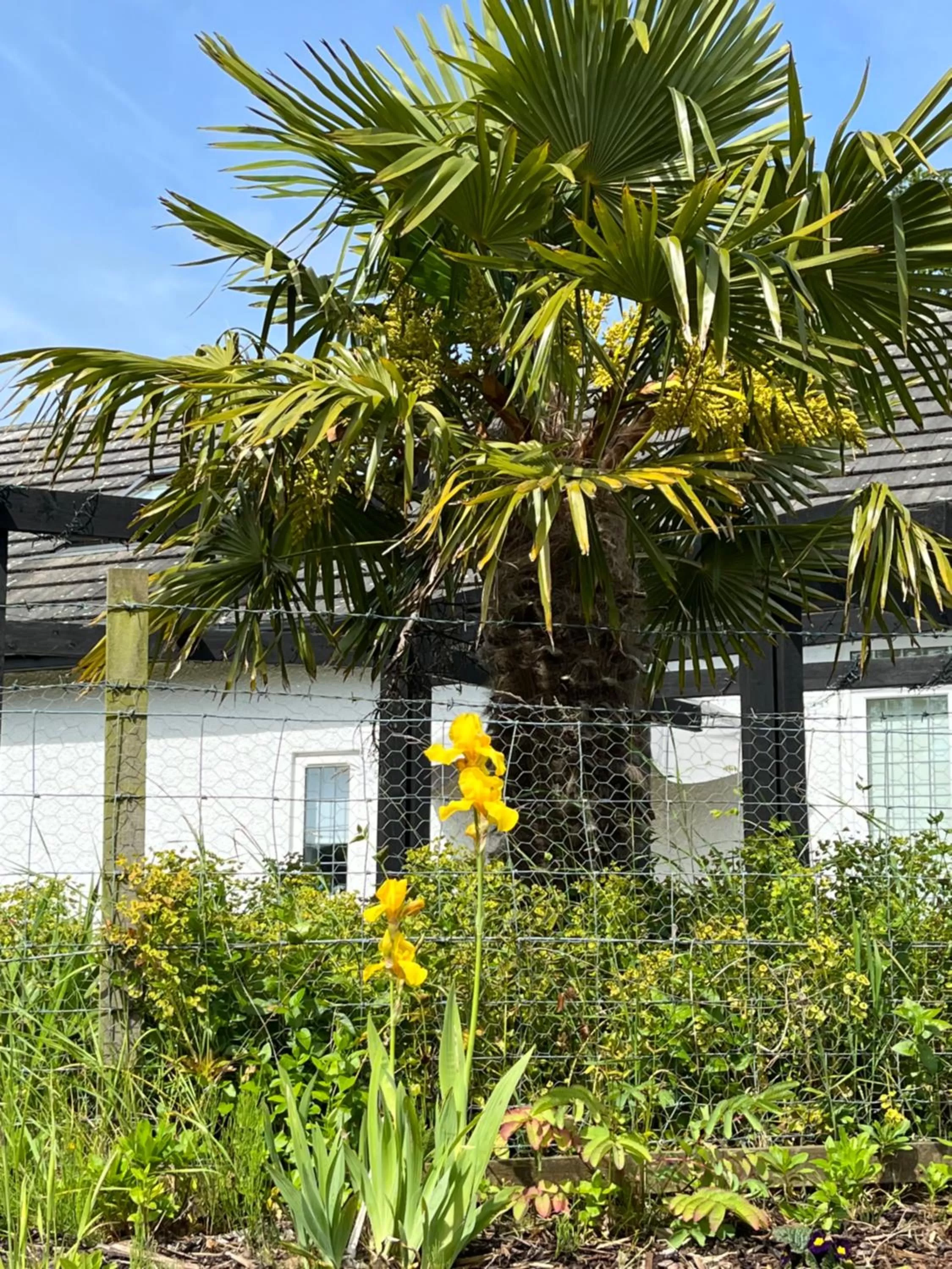 Garden in Retreat at The Knowe Auchincruive Estate