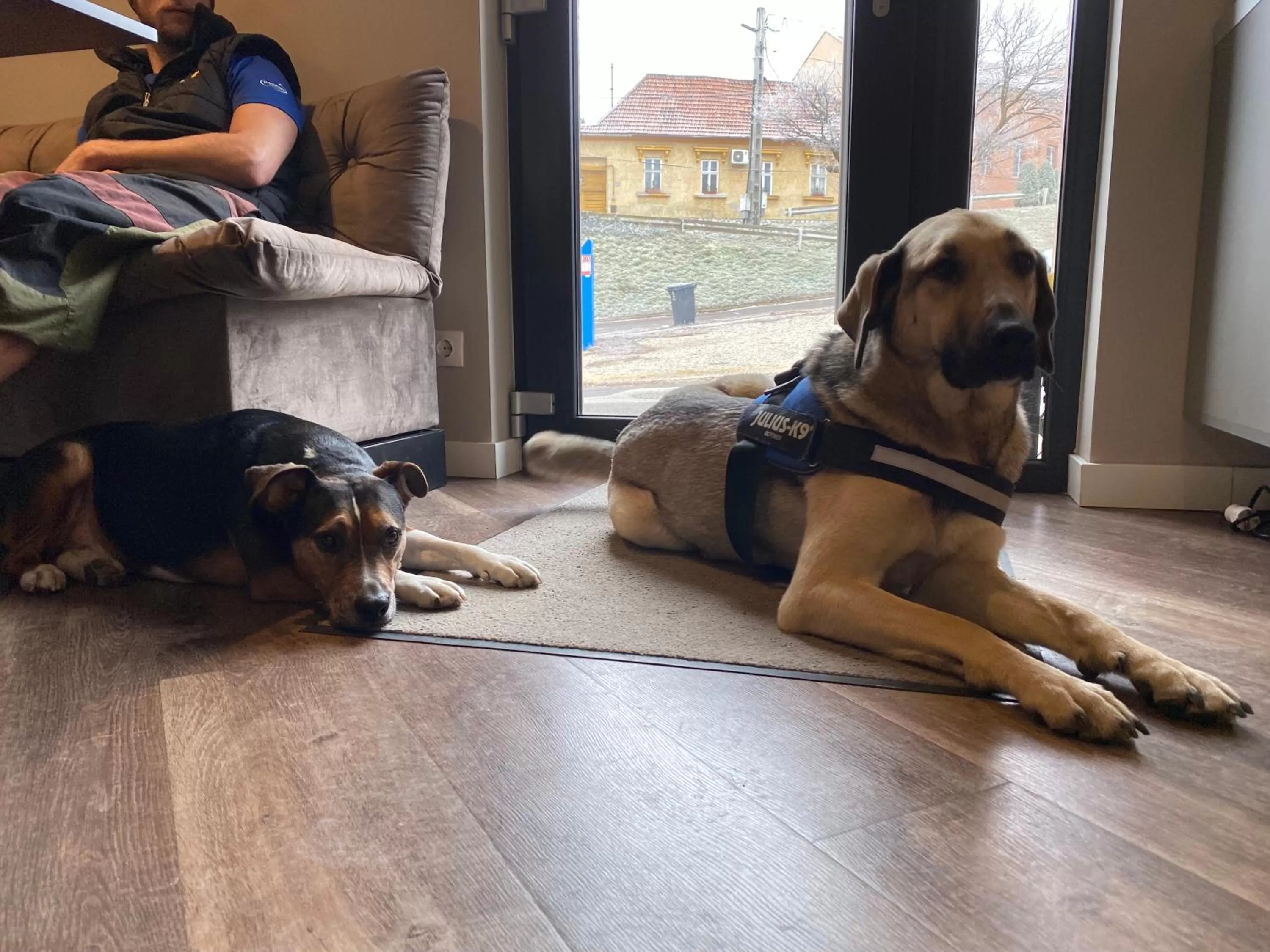 Pets in Margaréta Garden & SPA