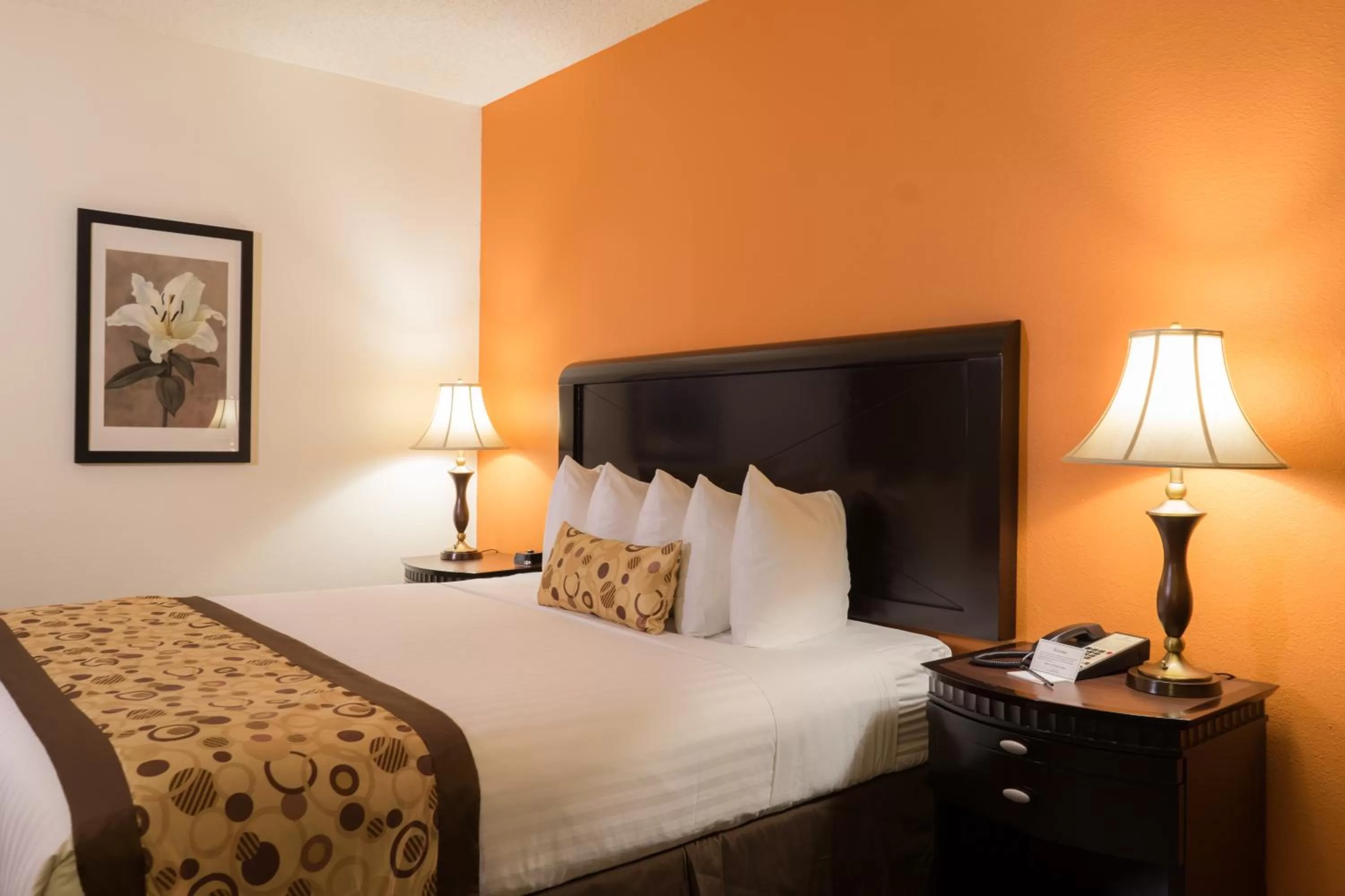 bunk bed, Bed in Oakland Airport Executive Hotel