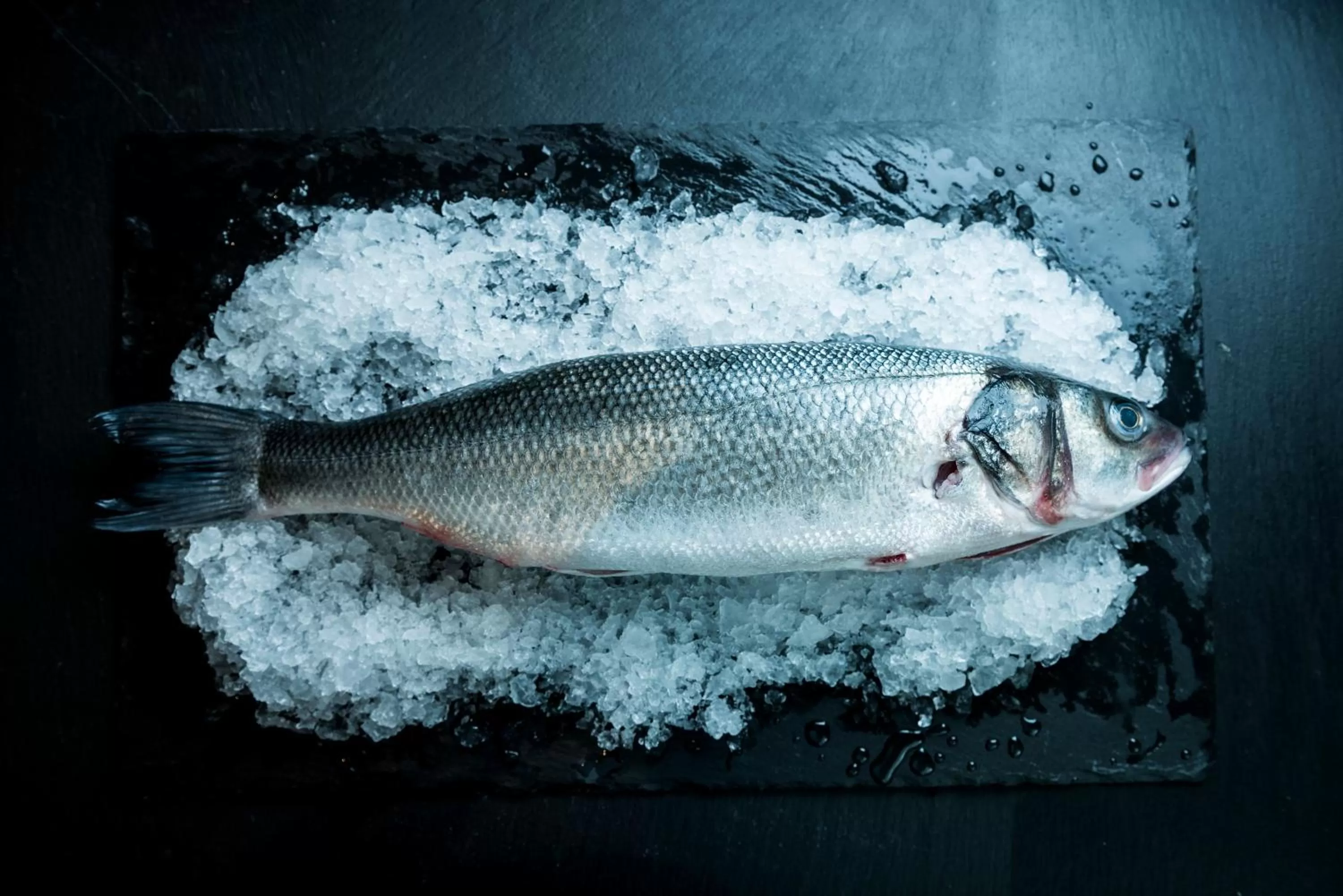 Restaurant/places to eat in Hotel Albris