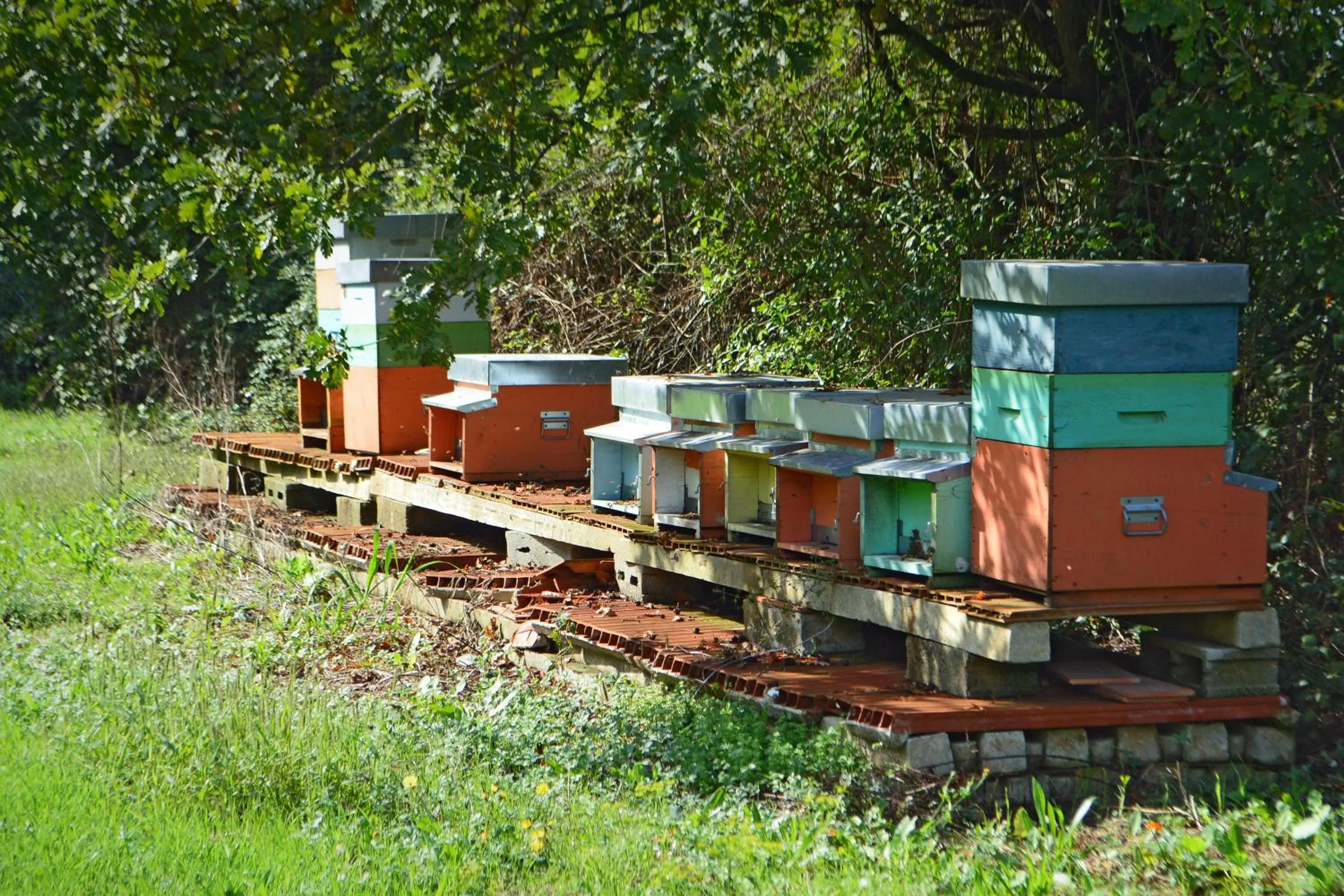 On site in Armonie di Villa Incontri B&B