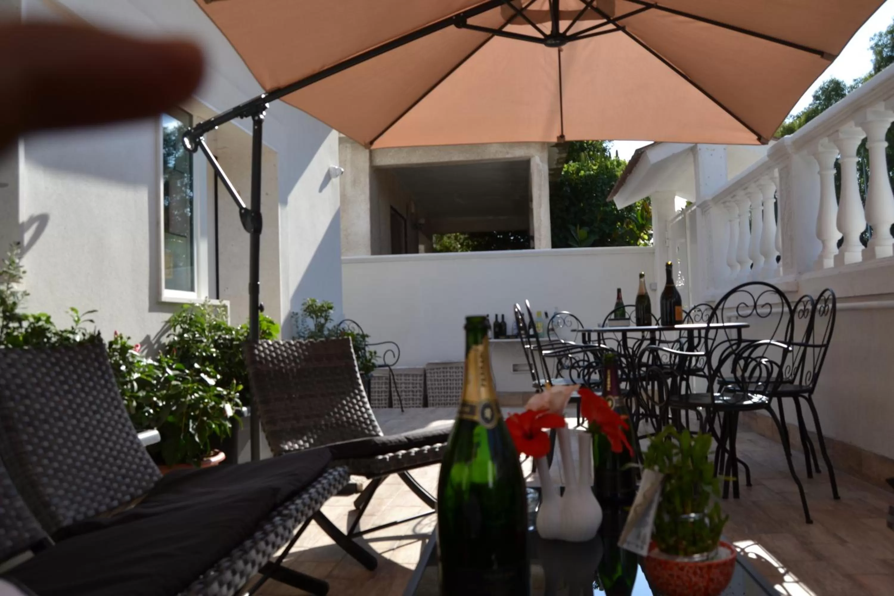 Garden in Bed and Breakfast Sun Wine