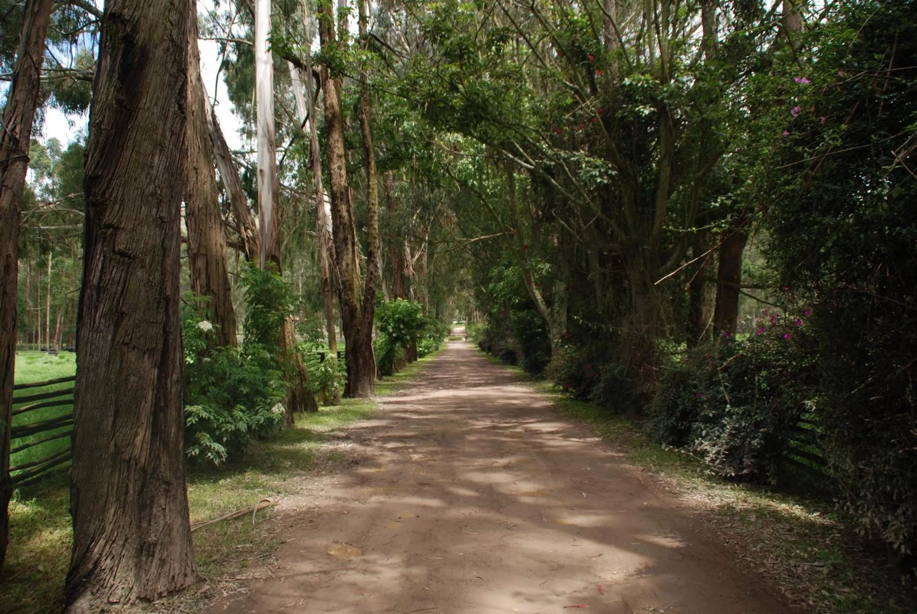Hiking in Hotel Hacienda Suescún